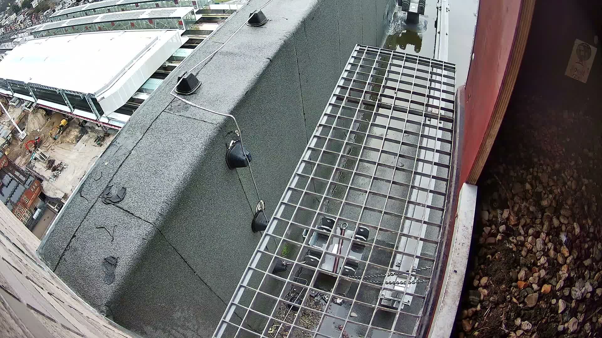Gent, Sint Pieters Railway Station & Virginie Lovelingge bouw (Virginie Loveling building) Outside Bird Nest Live Cam - Gent (Ghend-Gand), East Flanders (Flandre-Orientale), Flemish (Flamande), Belgium