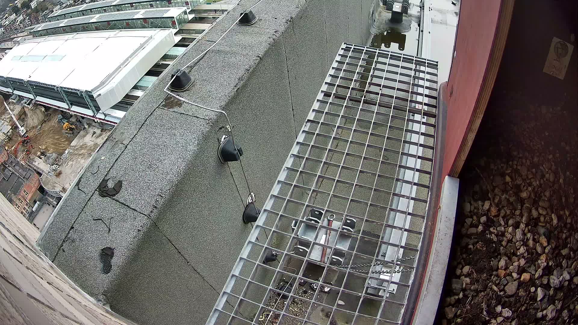 Gent, Sint Pieters Railway Station & Virginie Lovelingge bouw (Virginie Loveling building) Outside Bird Nest Live Cam - Gent (Ghend-Gand), East Flanders (Flandre-Orientale), Flemish (Flamande), Belgium
