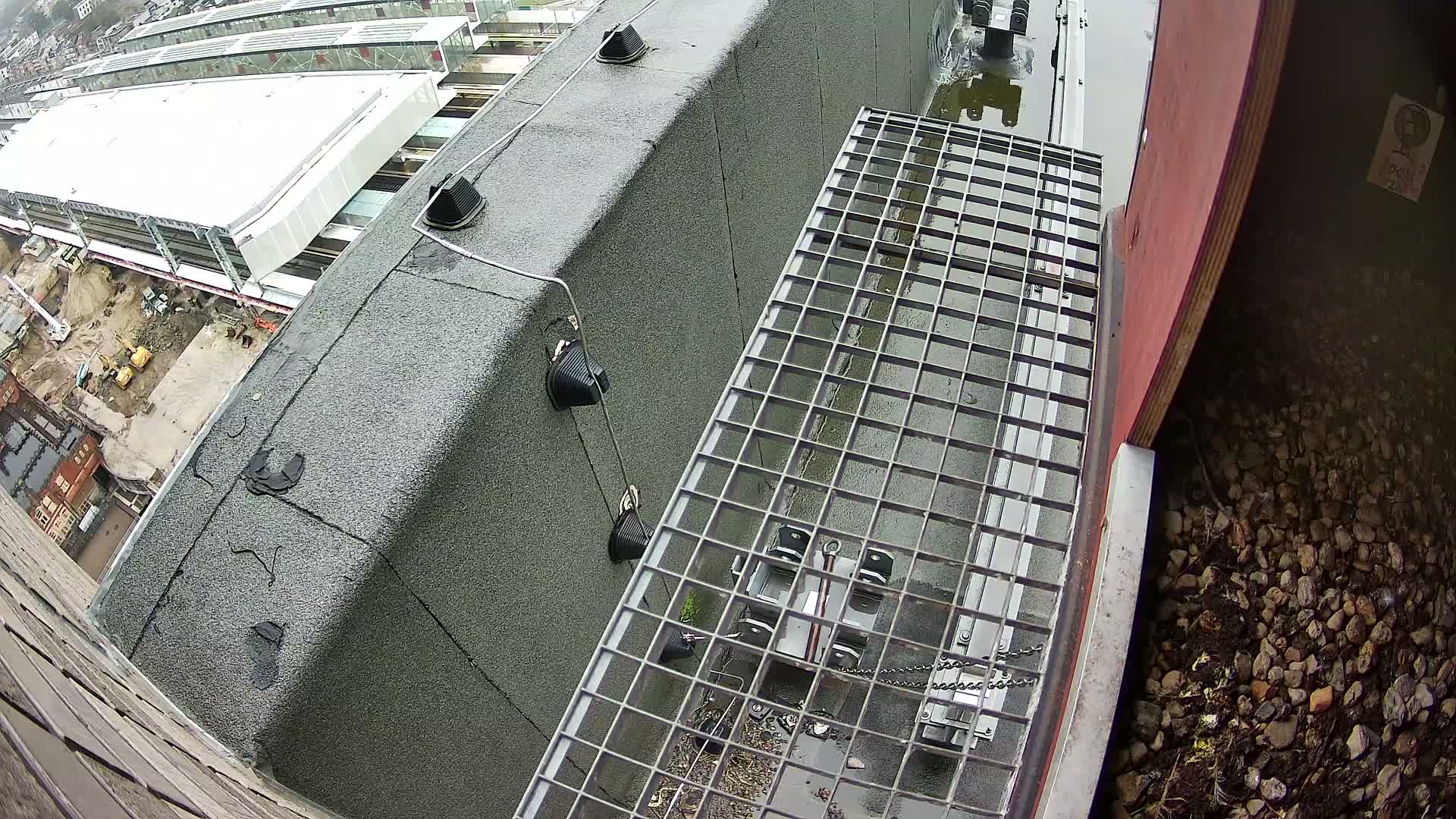 Gent, Sint Pieters Railway Station & Virginie Lovelingge bouw (Virginie Loveling building) Outside Bird Nest Live Cam - Gent (Ghend-Gand), East Flanders (Flandre-Orientale), Flemish (Flamande), Belgium