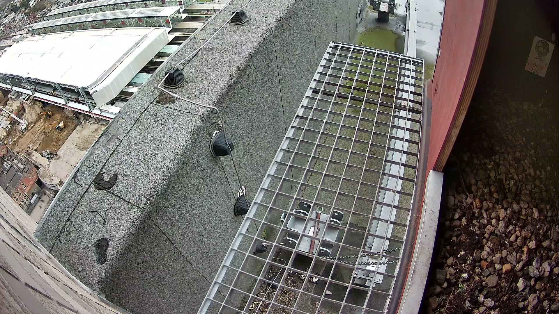 Gent, Sint Pieters Railway Station & Virginie Lovelingge bouw (Virginie Loveling building) Outside Bird Nest Live Cam - Gent (Ghend-Gand), East Flanders (Flandre-Orientale), Flemish (Flamande), Belgium
