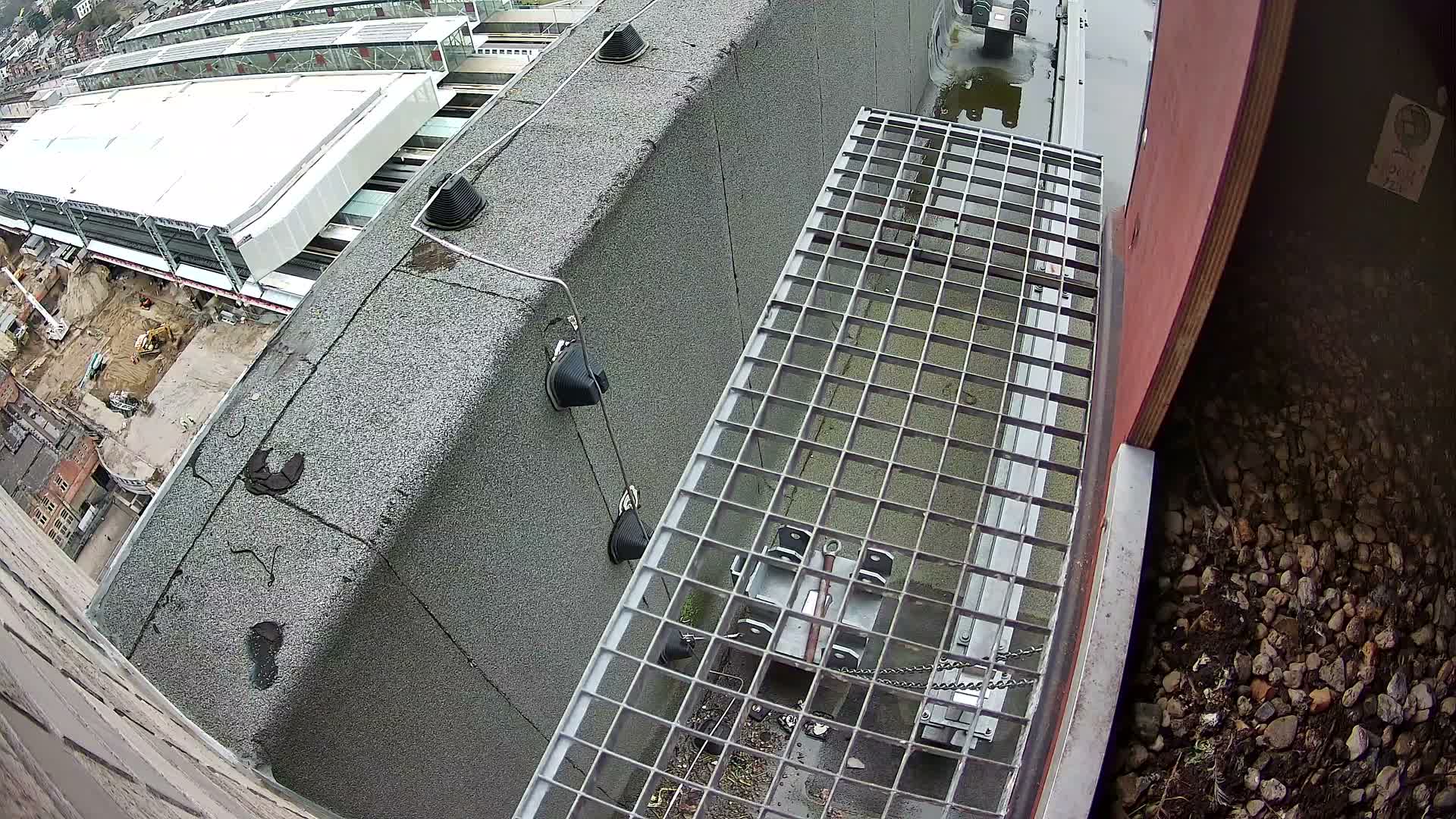 Gent, Sint Pieters Railway Station & Virginie Lovelingge bouw (Virginie Loveling building) Outside Bird Nest Live Cam - Gent (Ghend-Gand), East Flanders (Flandre-Orientale), Flemish (Flamande), Belgium