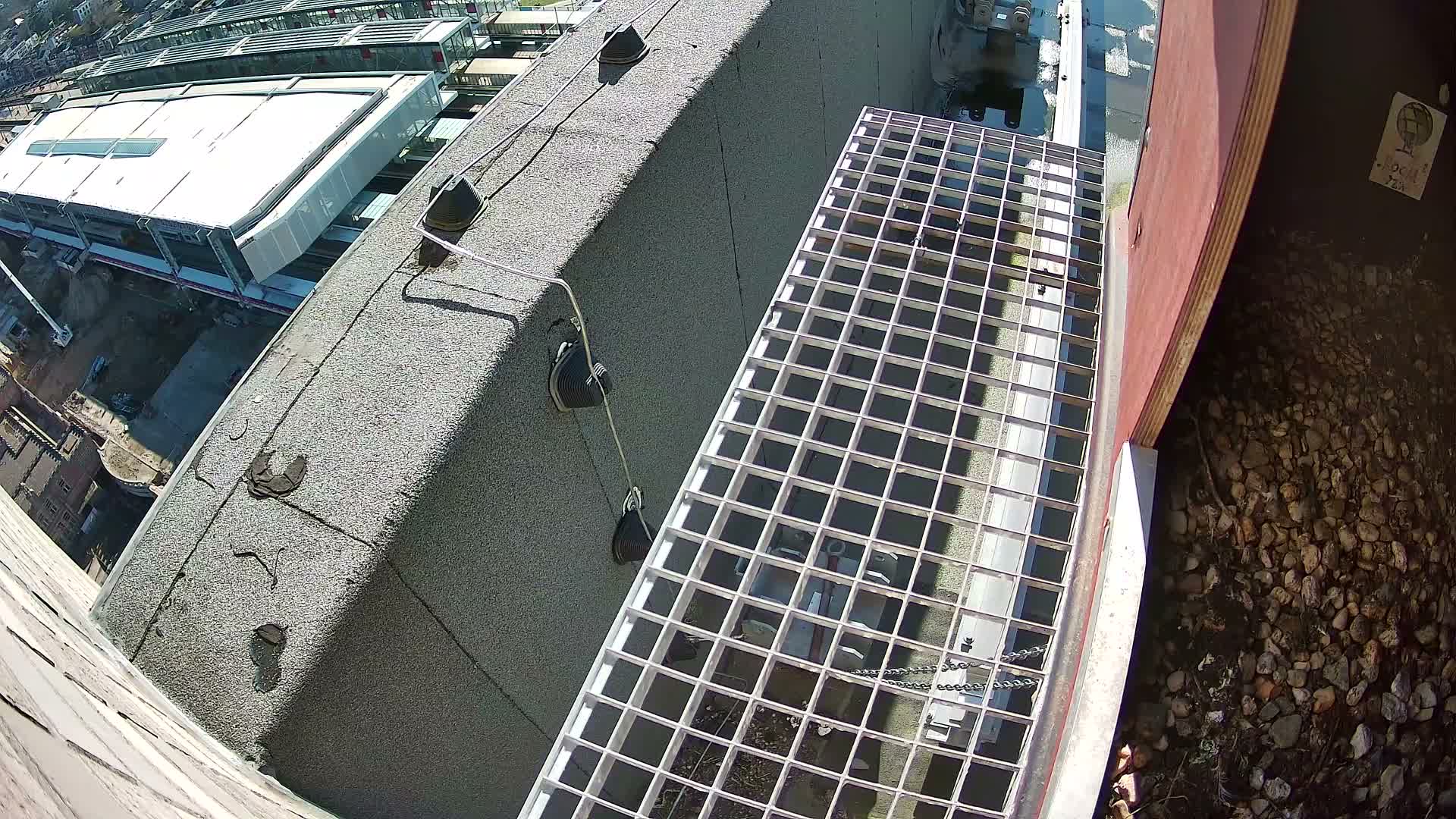 Gent, Sint Pieters Railway Station & Virginie Lovelingge bouw (Virginie Loveling building) Outside Bird Nest Live Cam - Gent (Ghend-Gand), East Flanders (Flandre-Orientale), Flemish (Flamande), Belgium