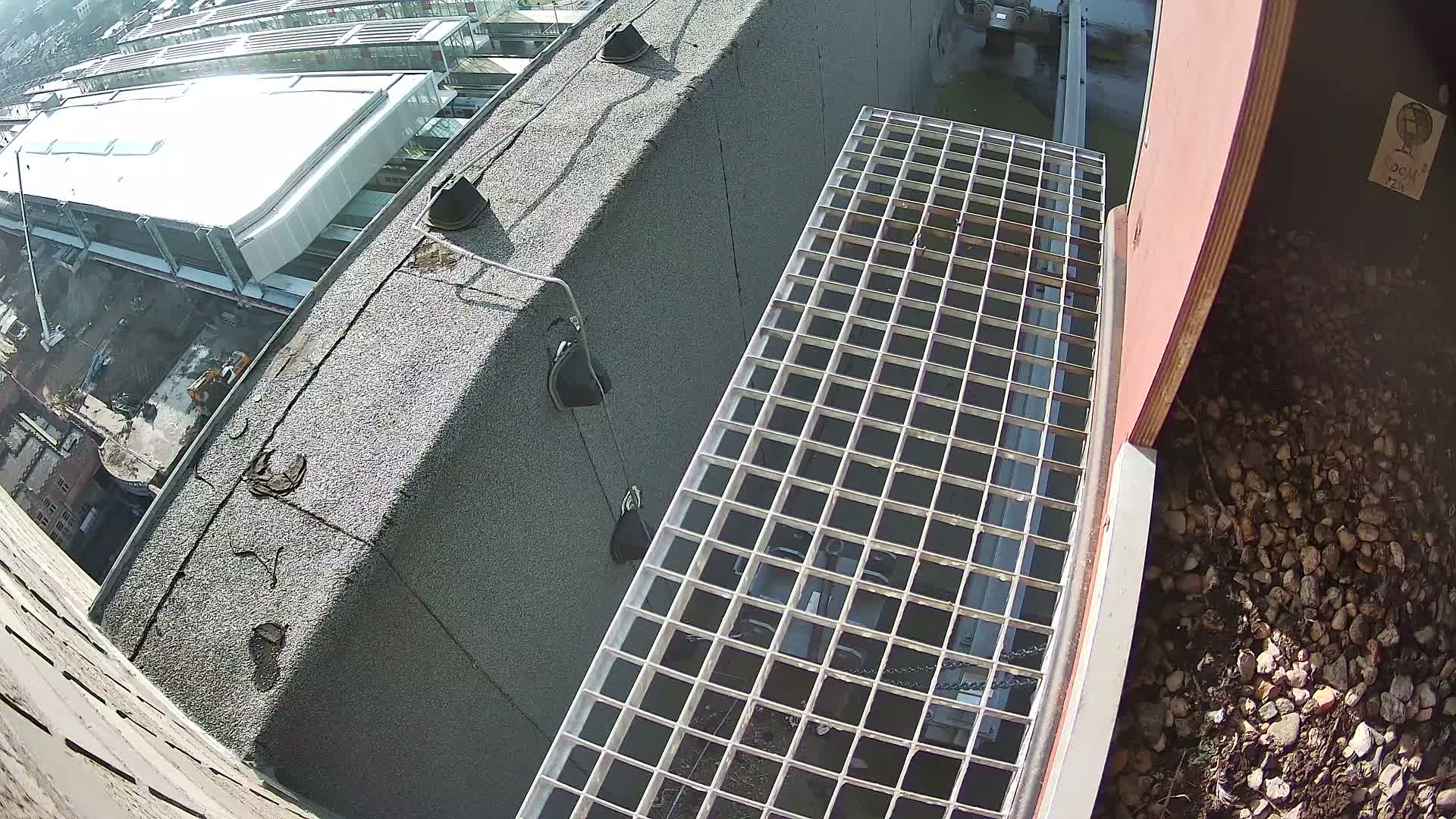 Gent, Sint Pieters Railway Station & Virginie Lovelingge bouw (Virginie Loveling building) Outside Bird Nest Live Cam - Gent (Ghend-Gand), East Flanders (Flandre-Orientale), Flemish (Flamande), Belgium