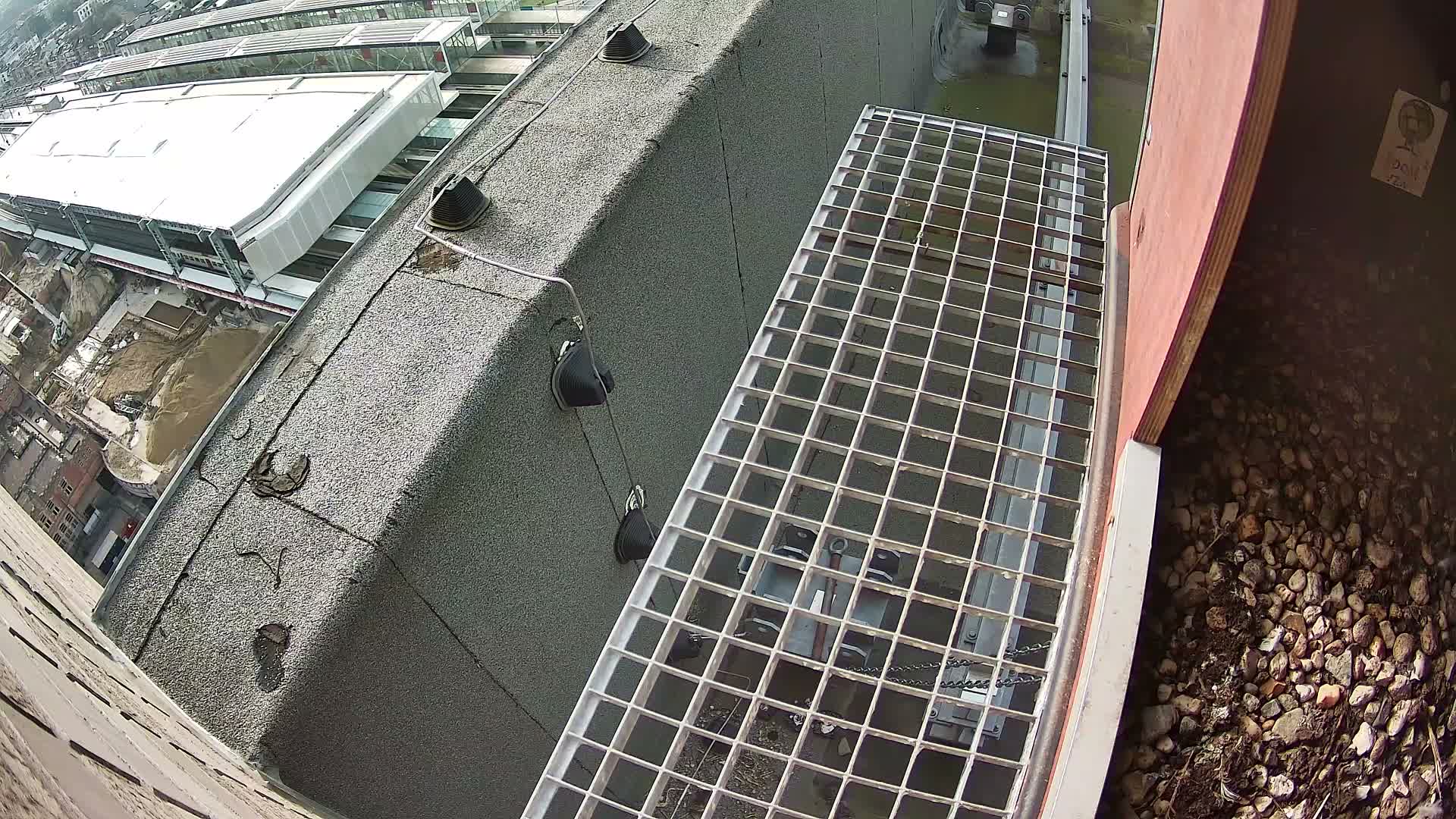Gent, Sint Pieters Railway Station & Virginie Lovelingge bouw (Virginie Loveling building) Outside Bird Nest Live Cam - Gent (Ghend-Gand), East Flanders (Flandre-Orientale), Flemish (Flamande), Belgium