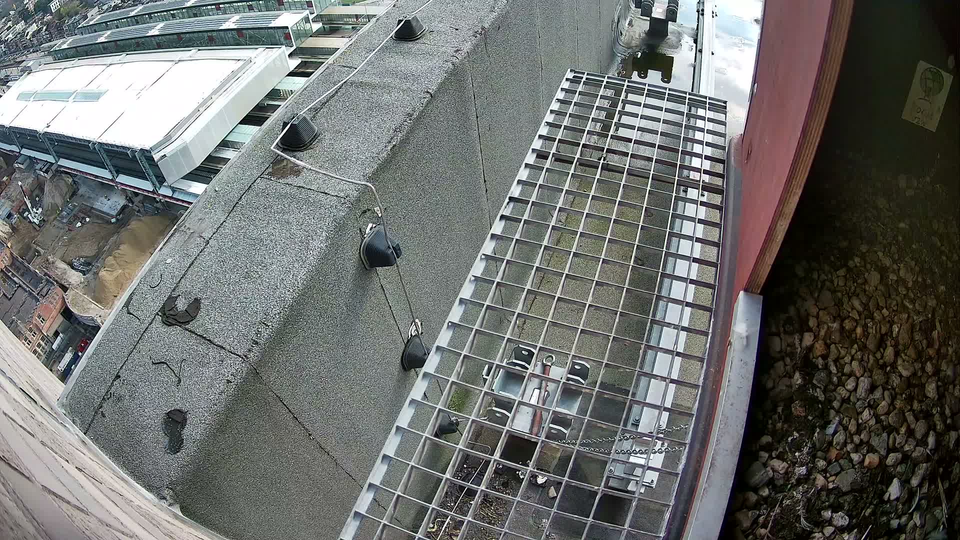 Gent, Sint Pieters Railway Station & Virginie Lovelingge bouw (Virginie Loveling building) Outside Bird Nest Live Cam - Gent (Ghend-Gand), East Flanders (Flandre-Orientale), Flemish (Flamande), Belgium