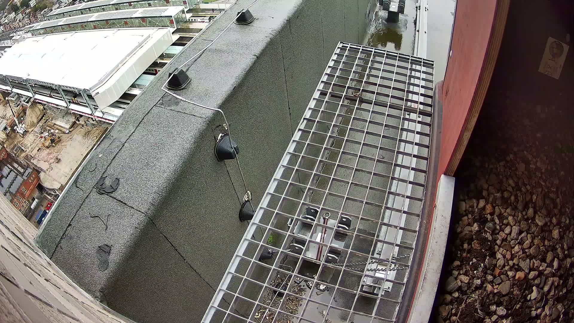 Gent, Sint Pieters Railway Station & Virginie Lovelingge bouw (Virginie Loveling building) Outside Bird Nest Live Cam - Gent (Ghend-Gand), East Flanders (Flandre-Orientale), Flemish (Flamande), Belgium