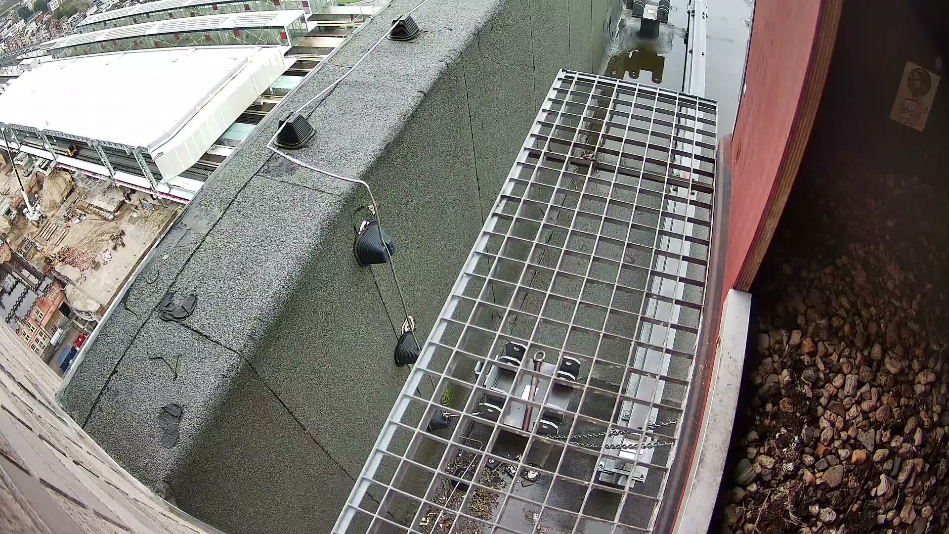Gent, Sint Pieters Railway Station & Virginie Lovelingge bouw (Virginie Loveling building) Outside Bird Nest Live Cam - Gent (Ghend-Gand), East Flanders (Flandre-Orientale), Flemish (Flamande), Belgium