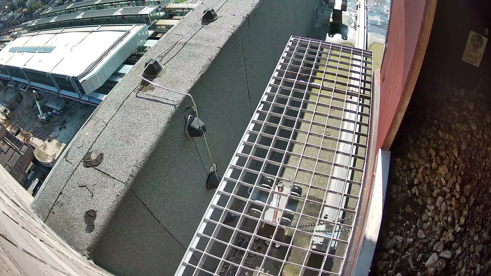 Gent, Sint Pieters Railway Station & Virginie Lovelingge bouw (Virginie Loveling building) Outside Bird Nest Live Cam - Gent (Ghend-Gand), East Flanders (Flandre-Orientale), Flemish (Flamande), Belgium