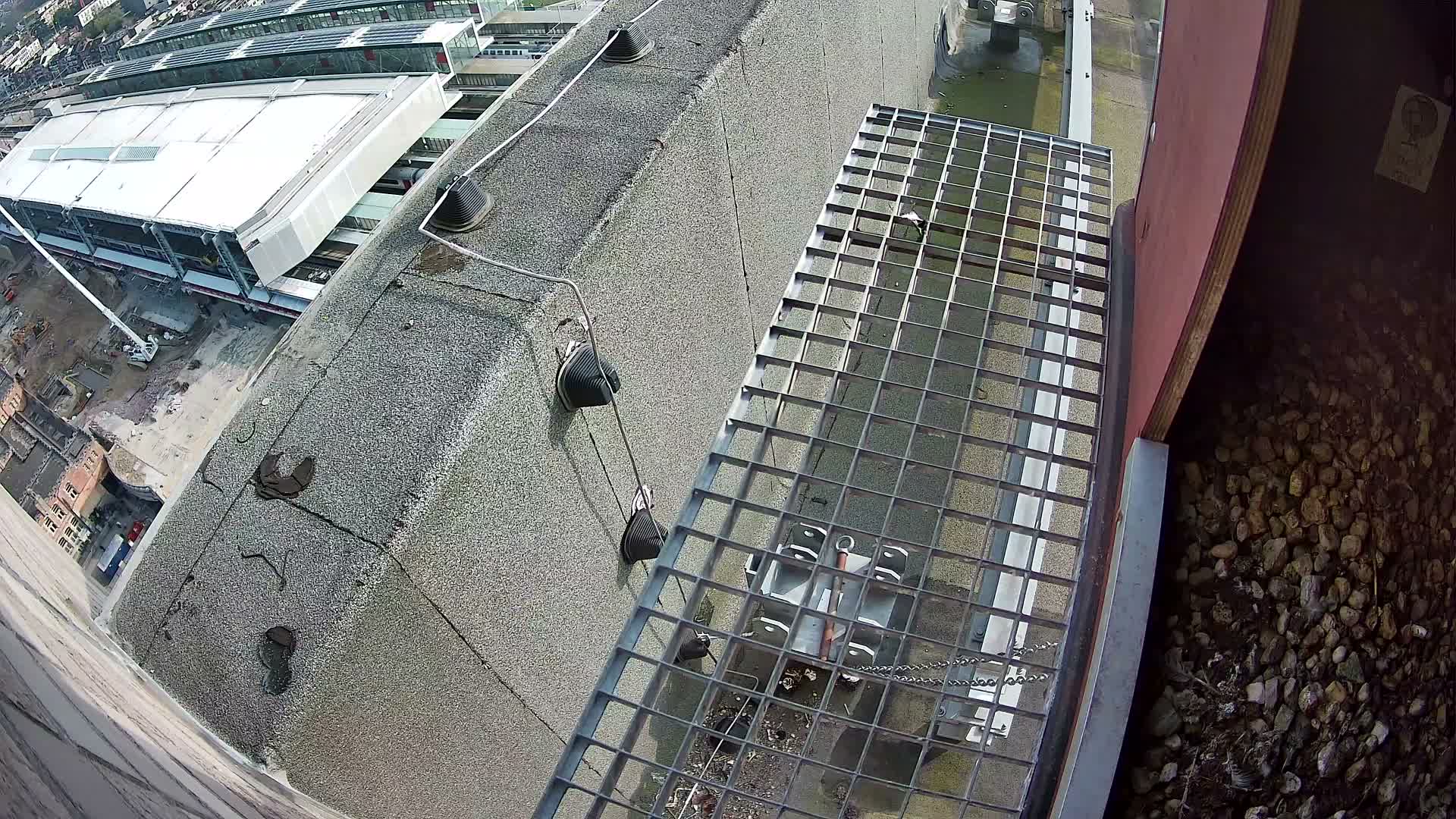 Gent, Sint Pieters Railway Station & Virginie Lovelingge bouw (Virginie Loveling building) Outside Bird Nest Live Cam - Gent (Ghend-Gand), East Flanders (Flandre-Orientale), Flemish (Flamande), Belgium