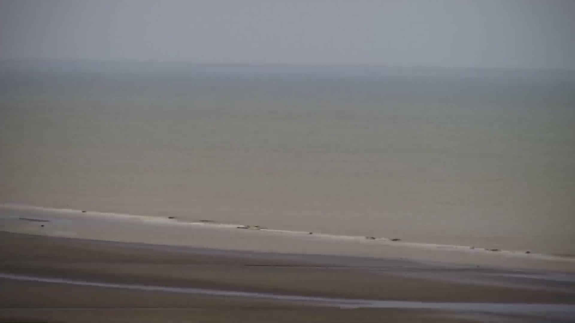An expansive view captures a calm, gray sea meeting a wide, sandy-muddy beach scattered with dark shapes along the water's edge, all under a heavily overcast and hazy sky.