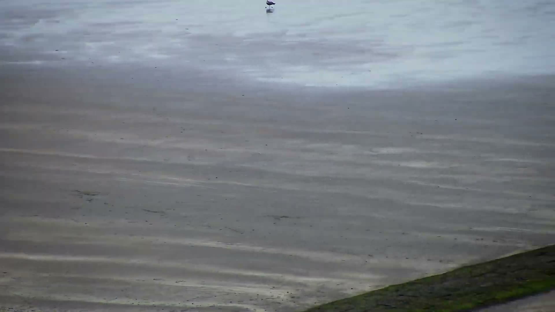 Nieuwpoort Comune & Plage Skyline Live Cam - Veurne (Furnes), West Flanders (Flandre-Occidentale), Flemish (Flamande), Belgium
