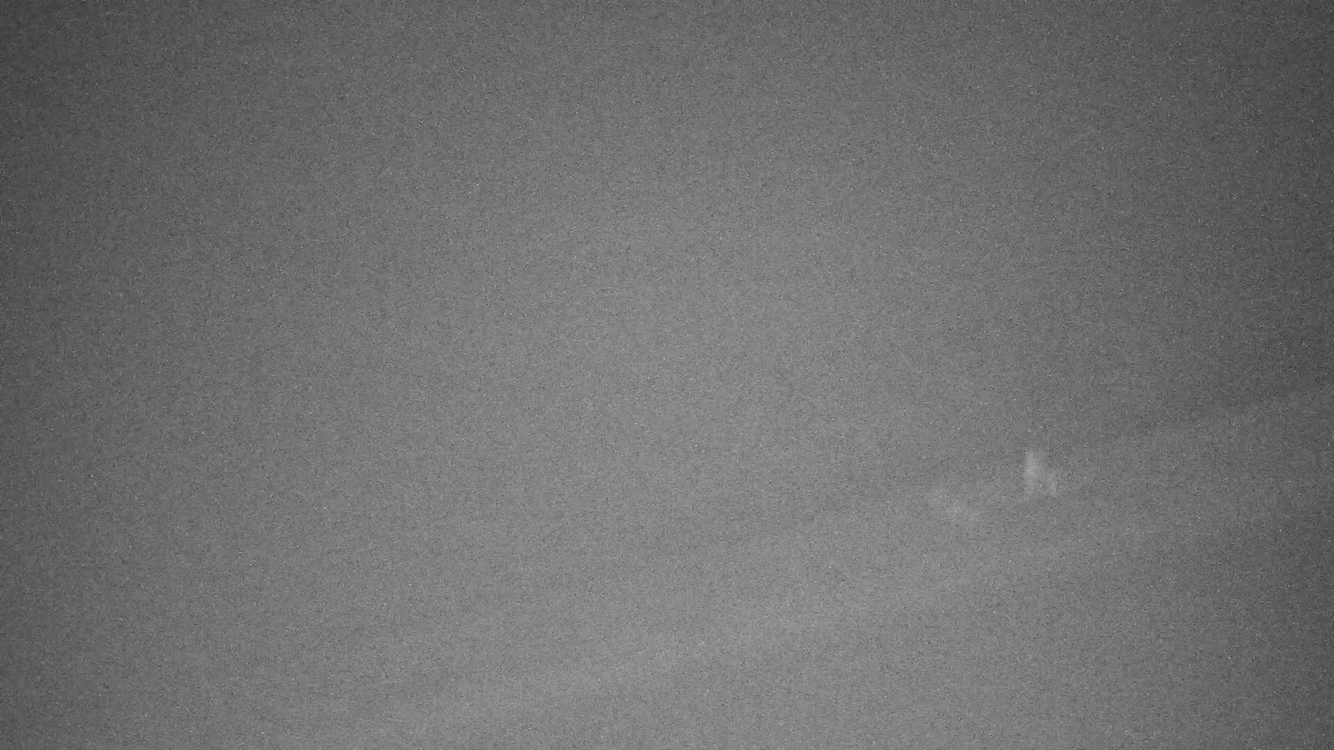 Nieuwpoort Comune & Plage Skyline Live Cam - Veurne (Furnes), West Flanders (Flandre-Occidentale), Flemish (Flamande), Belgium