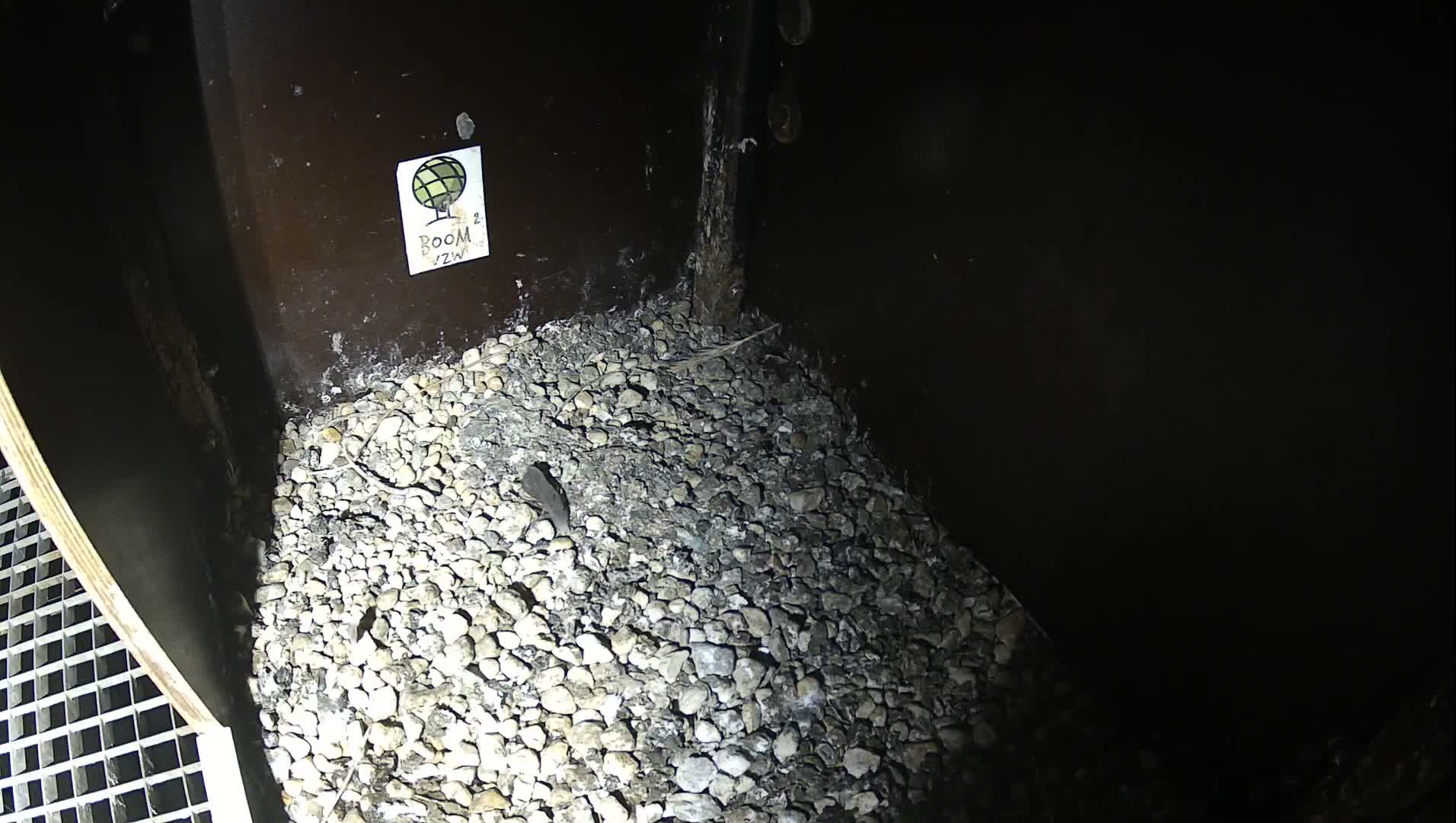 A dimly lit interior view reveals a heap of light-colored gravel against a dark curved wall, with a metal grate on the left and a small, dark animal on the gravel near a vertical support.