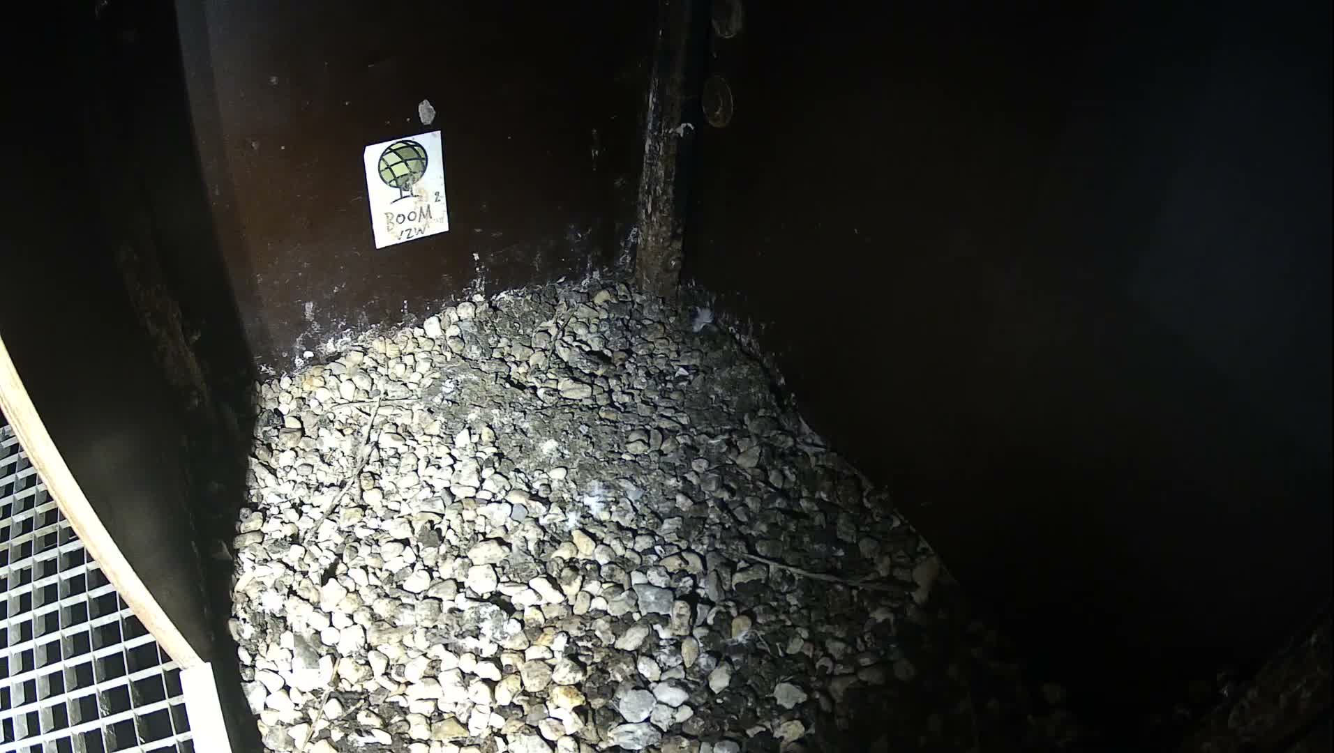 Virginie Lovelingge bouw (Virginie Loveling building) Inside Bird Nest Live Cam - Gent (Ghend-Gand), East Flanders (Flandre-Orientale), Flemish (Flamande), Belgium
