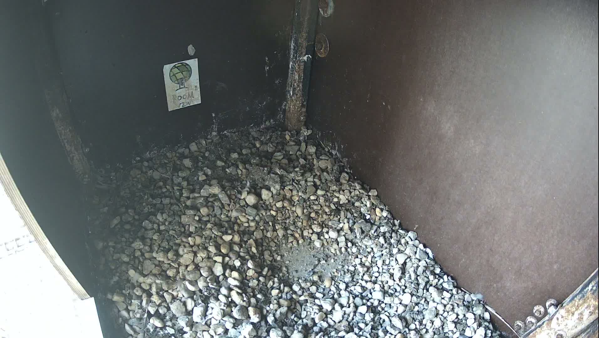 Virginie Lovelingge bouw (Virginie Loveling building) Inside Bird Nest Live Cam - Gent (Ghend-Gand), East Flanders (Flandre-Orientale), Flemish (Flamande), Belgium