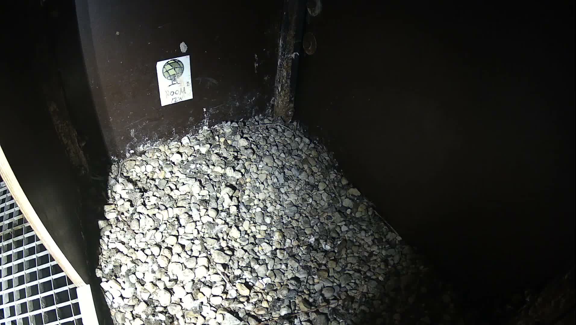 Virginie Lovelingge bouw (Virginie Loveling building) Inside Bird Nest Live Cam - Gent (Ghend-Gand), East Flanders (Flandre-Orientale), Flemish (Flamande), Belgium