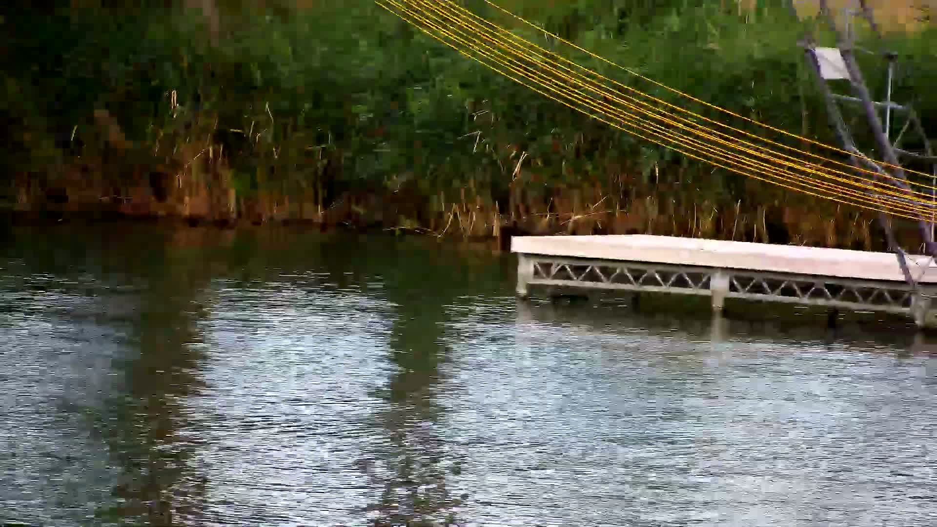 A calm body of water reflects the surrounding vegetation and a small, floating dock with numerous yellow cables extending from behind it.