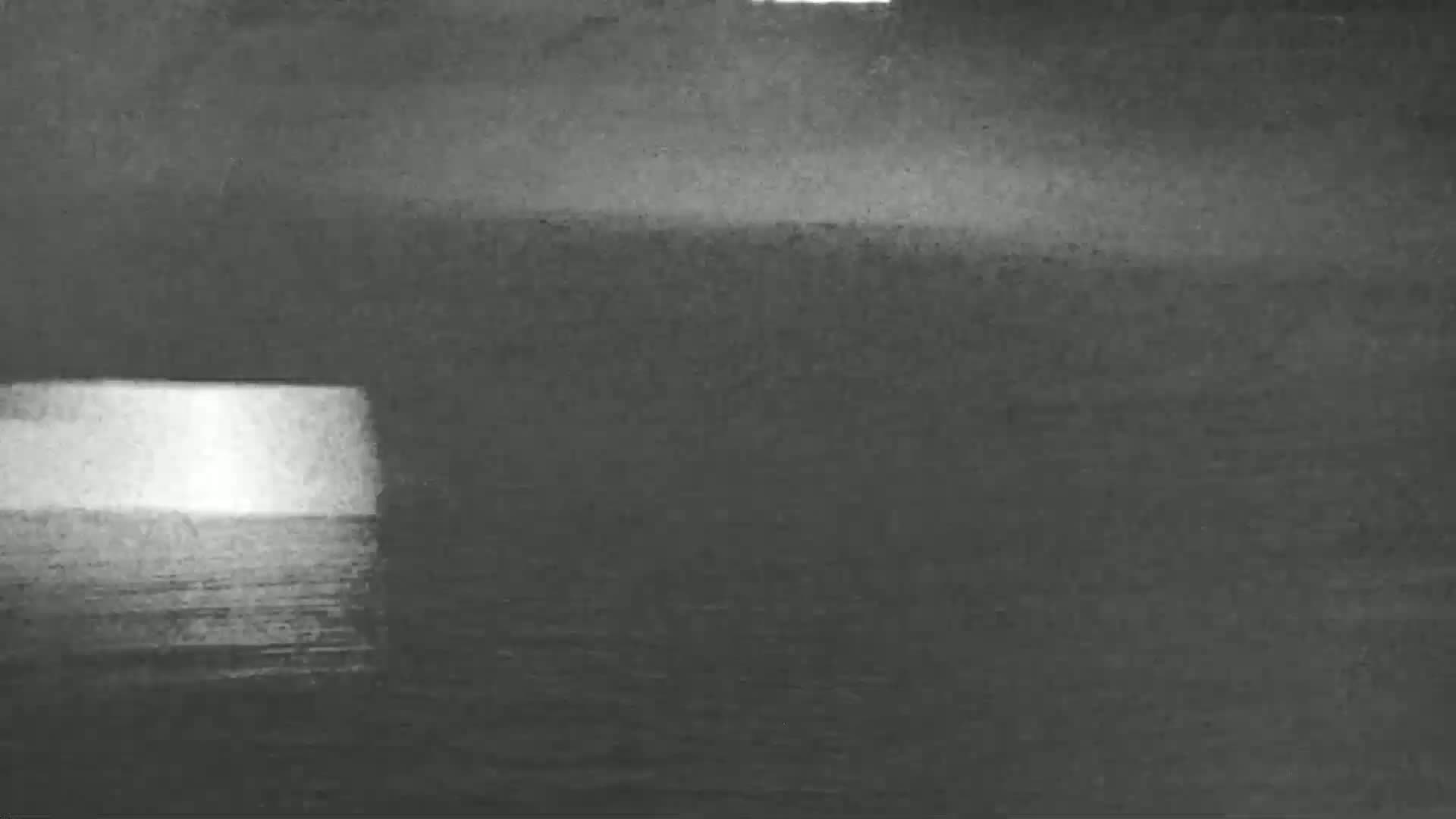 Knokke-Heist, Put van de Cloedet Sport Lake (De Cloedet Pond) Live Cam - Bruges, West Flanders (Flandre-Occidentale), Flemish (Flamande), Belgium