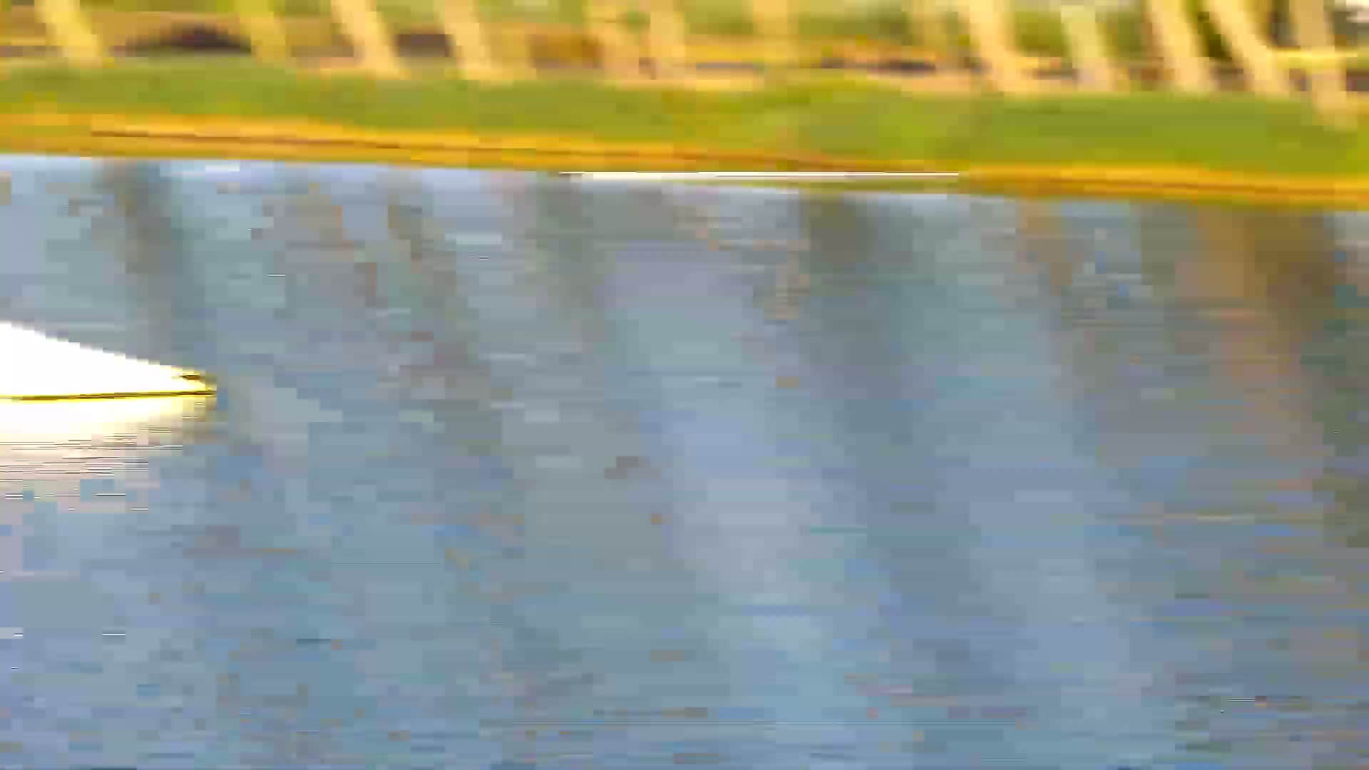 Knokke-Heist, Put van de Cloedet Sport Lake (De Cloedet Pond) Live Cam - Bruges, West Flanders (Flandre-Occidentale), Flemish (Flamande), Belgium