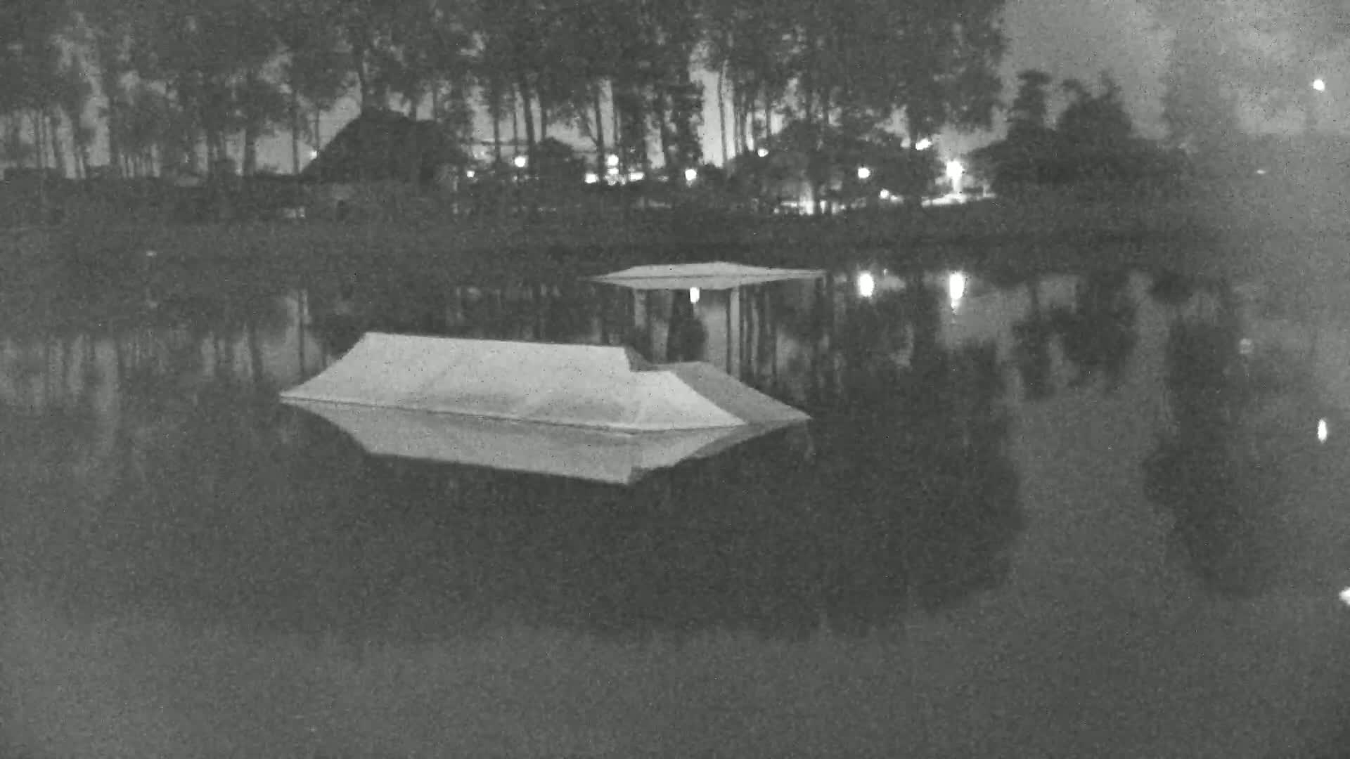 A calm body of water reflects the surrounding vegetation and a small, floating dock with numerous yellow cables extending from behind it.