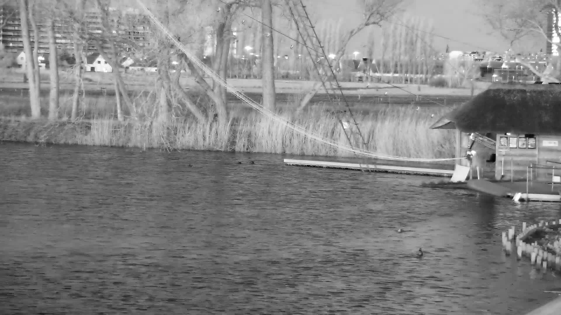 Knokke-Heist, Put van de Cloedet Sport Lake (De Cloedet Pond) Live Cam - Bruges, West Flanders (Flandre-Occidentale), Flemish (Flamande), Belgium