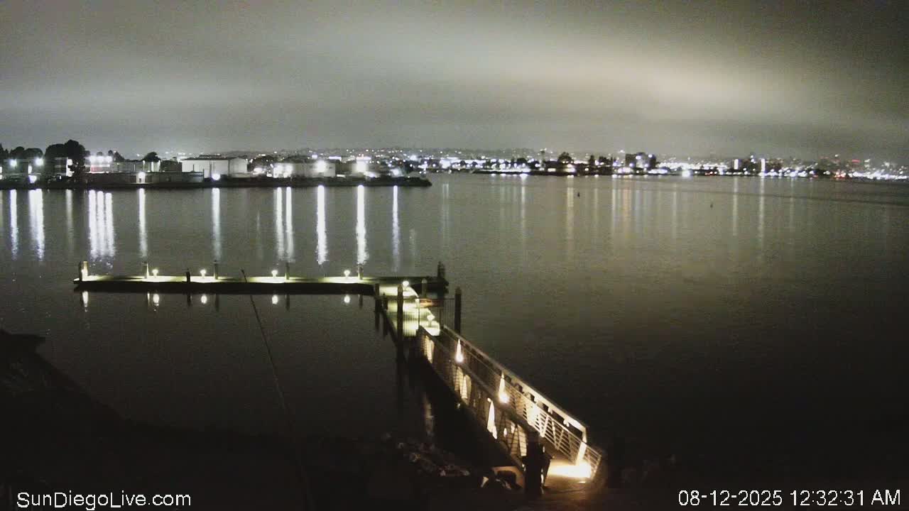 A nighttime view of a calm body of water with a lit dock in the foreground and a city skyline illuminated in the distance under a cloudy sky.