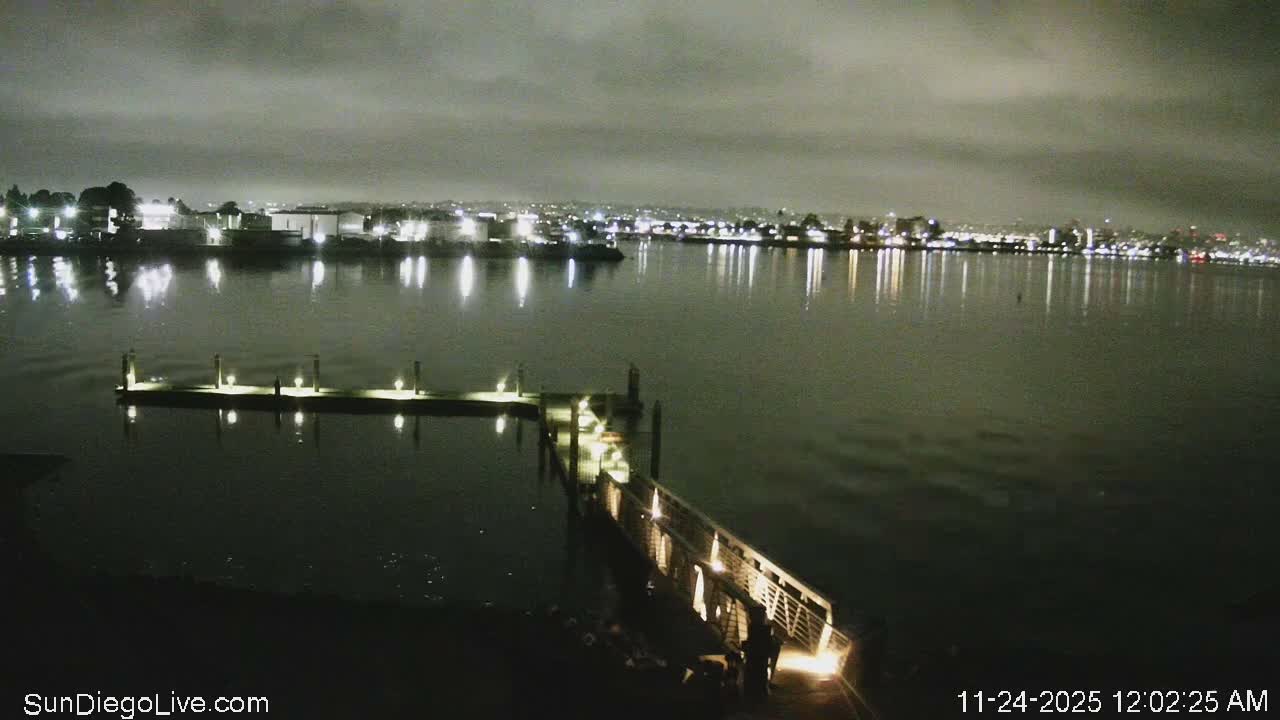 A brightly lit dock with a ramp extends into calm dark water in this nighttime scene, reflecting the distant city lights of a cityscape visible across the bay under an overcast sky.