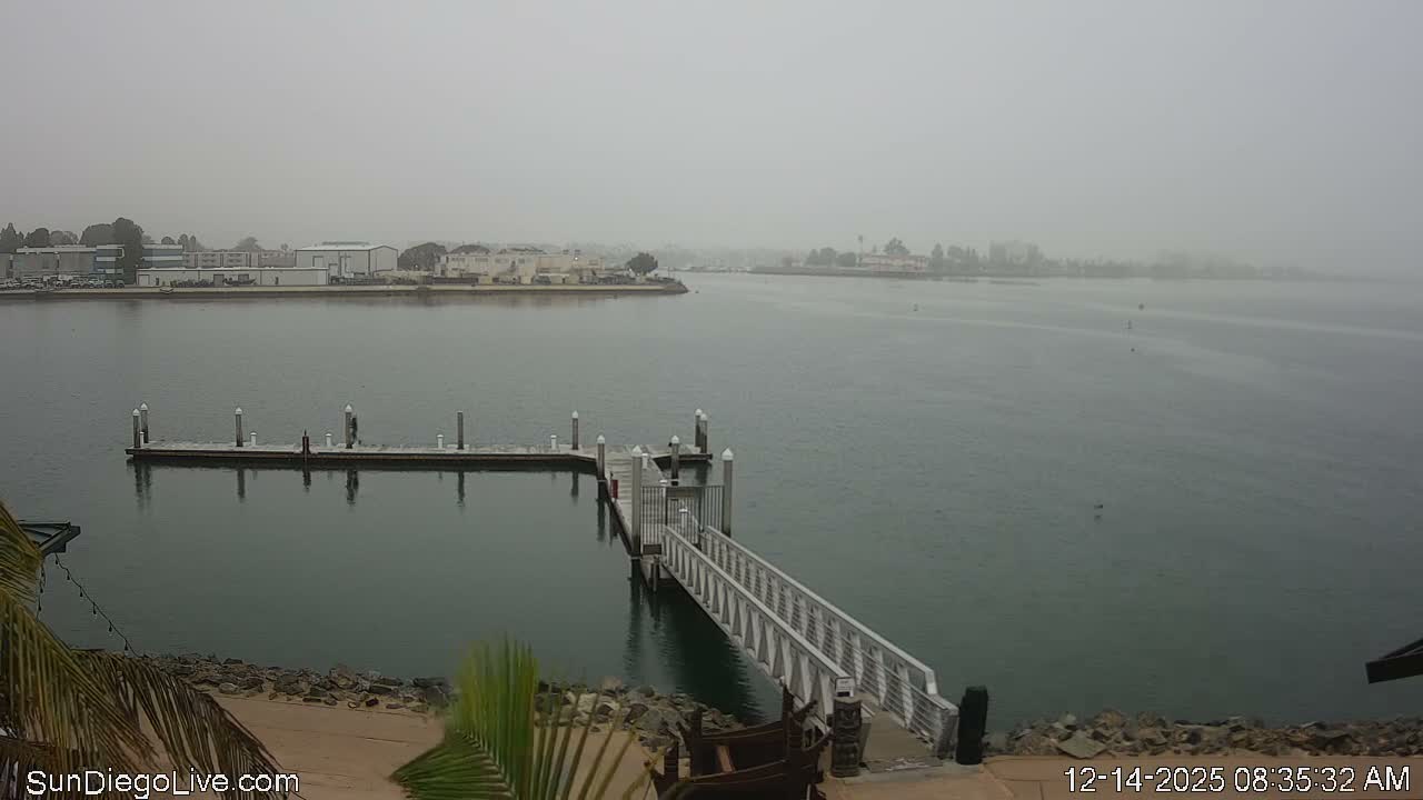 A clear night reveals a calm body of water with a brightly lit pier extending from the foreground, reflecting the distant city lights on its surface.