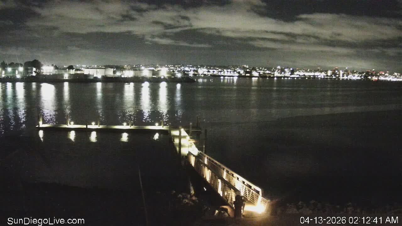 A clear night reveals a calm body of water with a brightly lit pier extending from the foreground, reflecting the distant city lights on its surface.