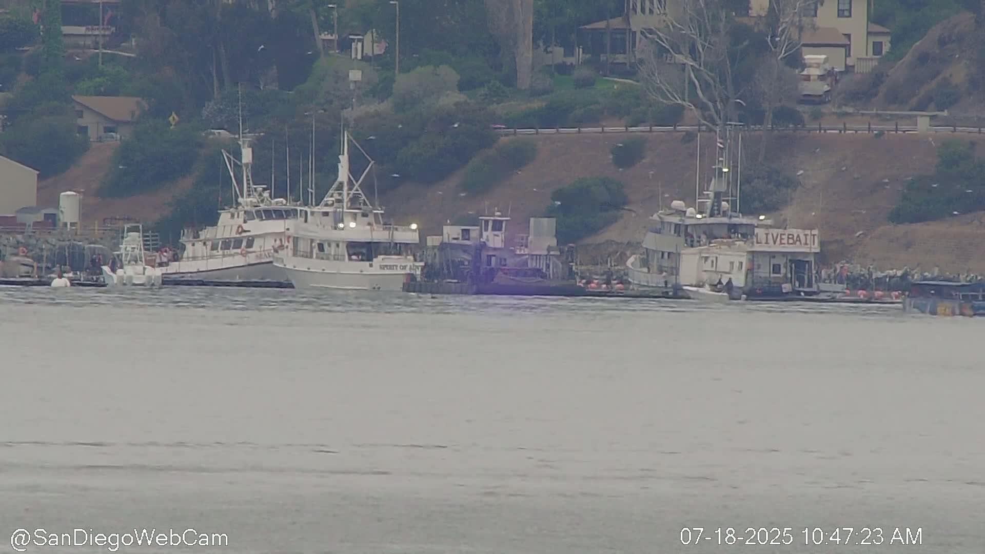 San Diego City / Bay 360 Panaromic & San Diego North Island Naval Air Sation NZY / KNZY Live Cam - Harbor Island, San Diego, San Diego County, California, USA