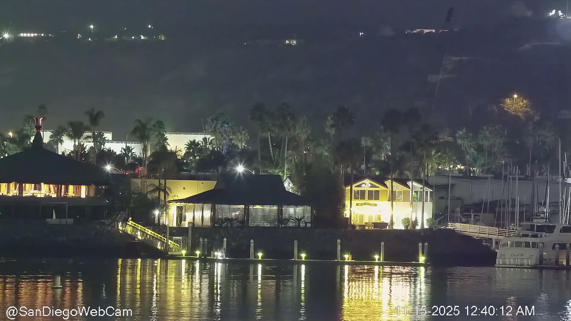 A brightly lit waterfront scene at night features buildings and numerous palm trees along the shore, with their lights and reflections cast upon calm water where boats are moored, all under a clear sky with distant hills faintly visible.