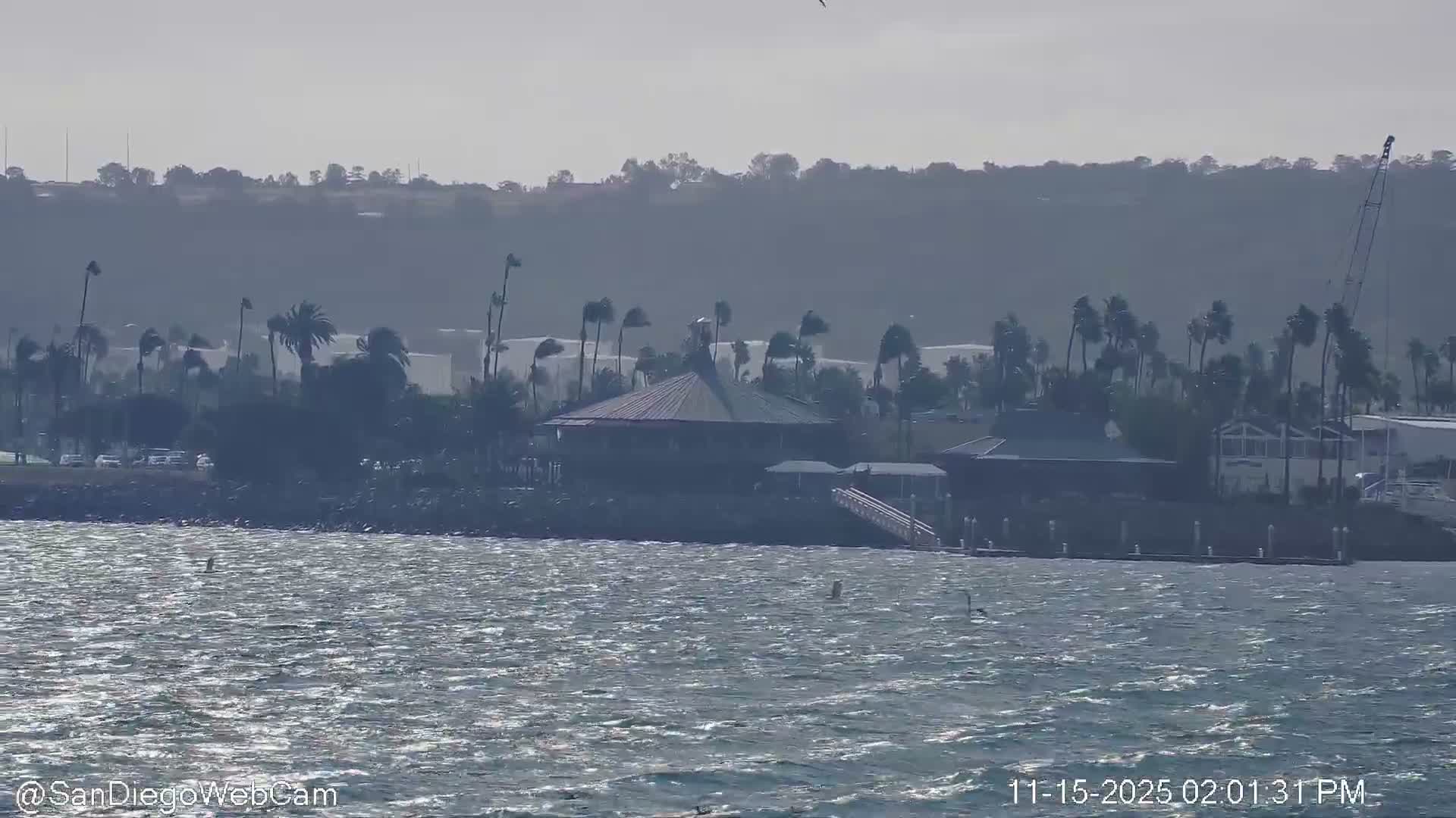 San Diego City / Bay 360 Panaromic & San Diego North Island Naval Air Sation NZY / KNZY Live Cam - Harbor Island, San Diego, San Diego County, California, USA