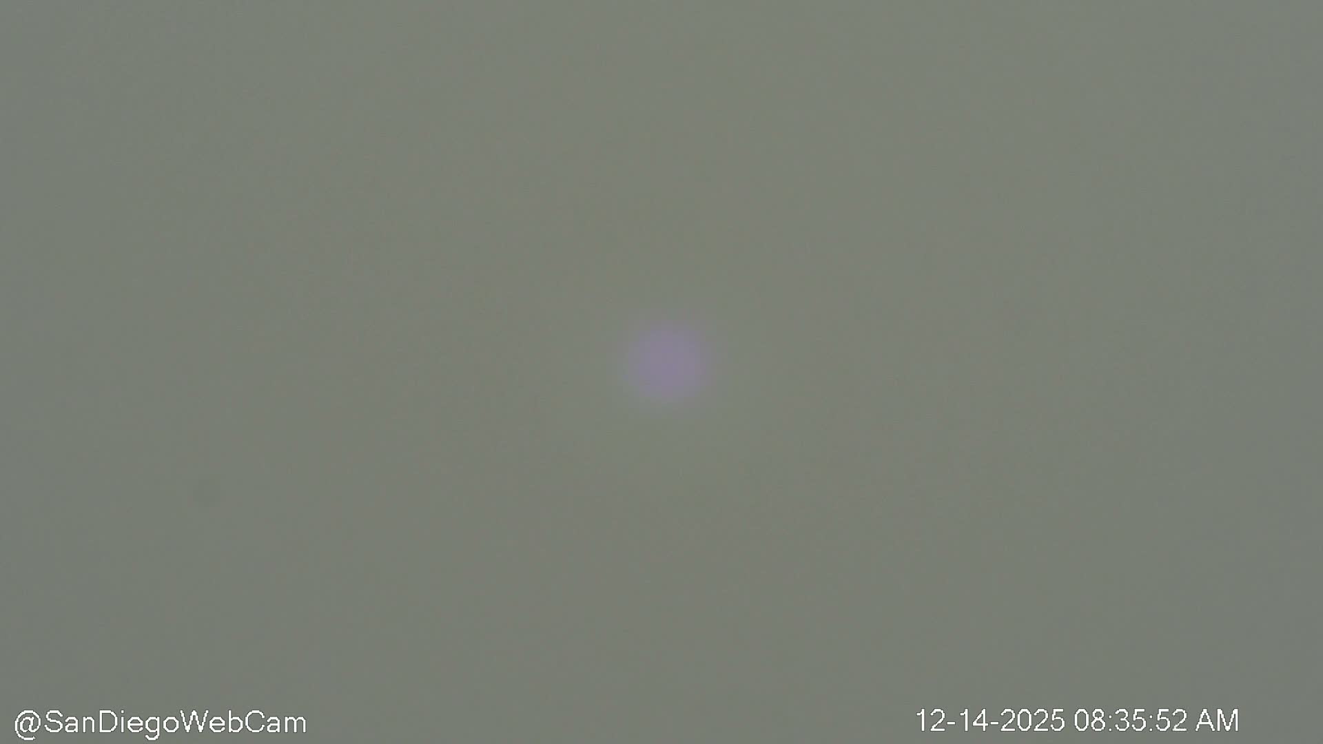 A nighttime view reveals a tranquil marina with several boats moored along a well-lit waterfront, featuring buildings and trees on the distant shore, all reflected on the calm water under a dark, clear sky.
