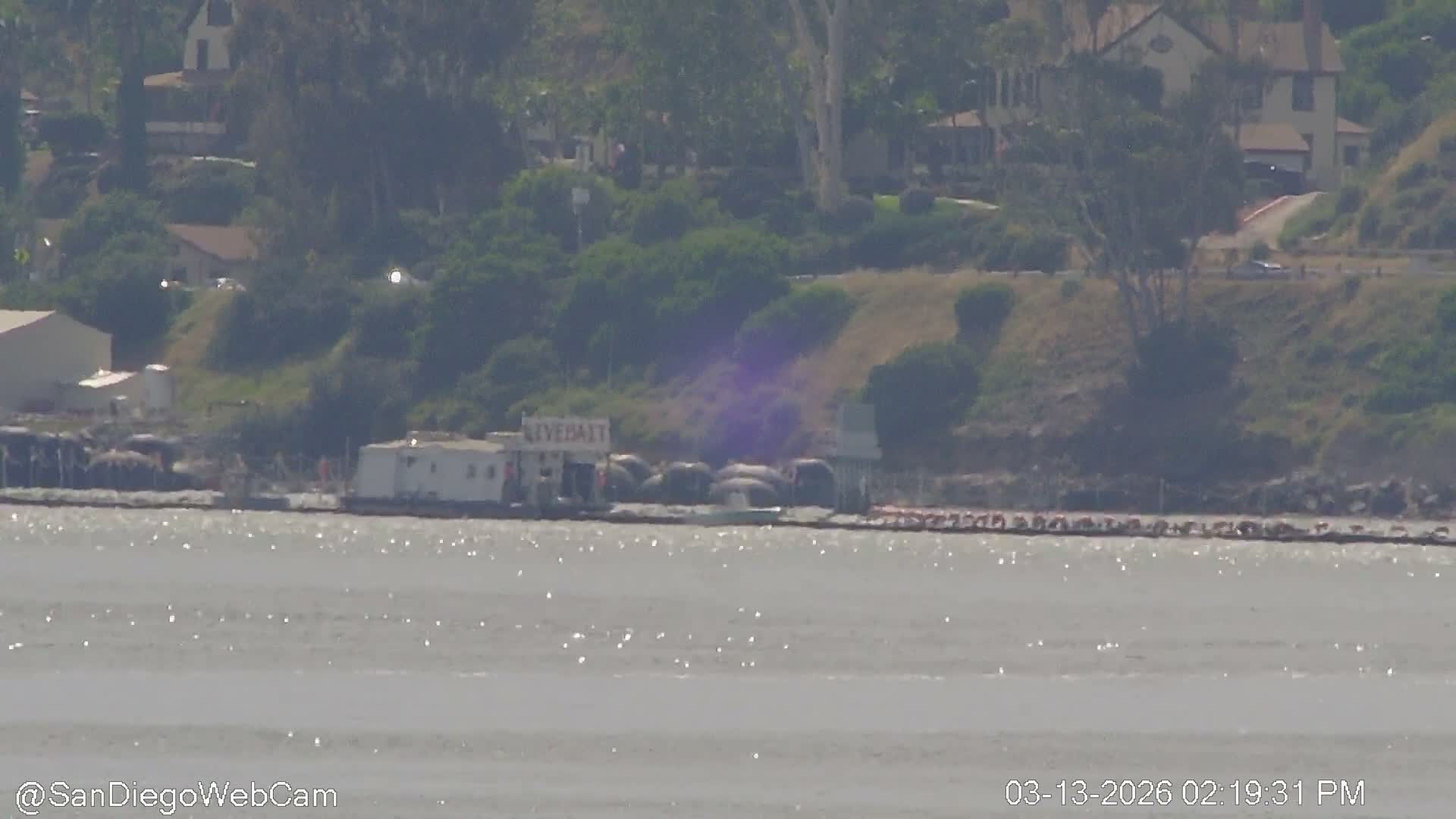 San Diego City / Bay 360 Panaromic & San Diego North Island Naval Air Sation NZY / KNZY Live Cam - Harbor Island, San Diego, San Diego County, California, USA
