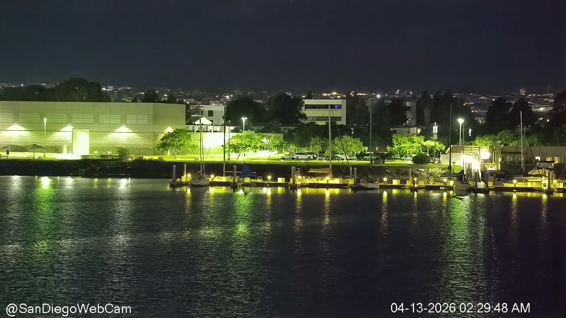 A nighttime view reveals a tranquil marina with several boats moored along a well-lit waterfront, featuring buildings and trees on the distant shore, all reflected on the calm water under a dark, clear sky.