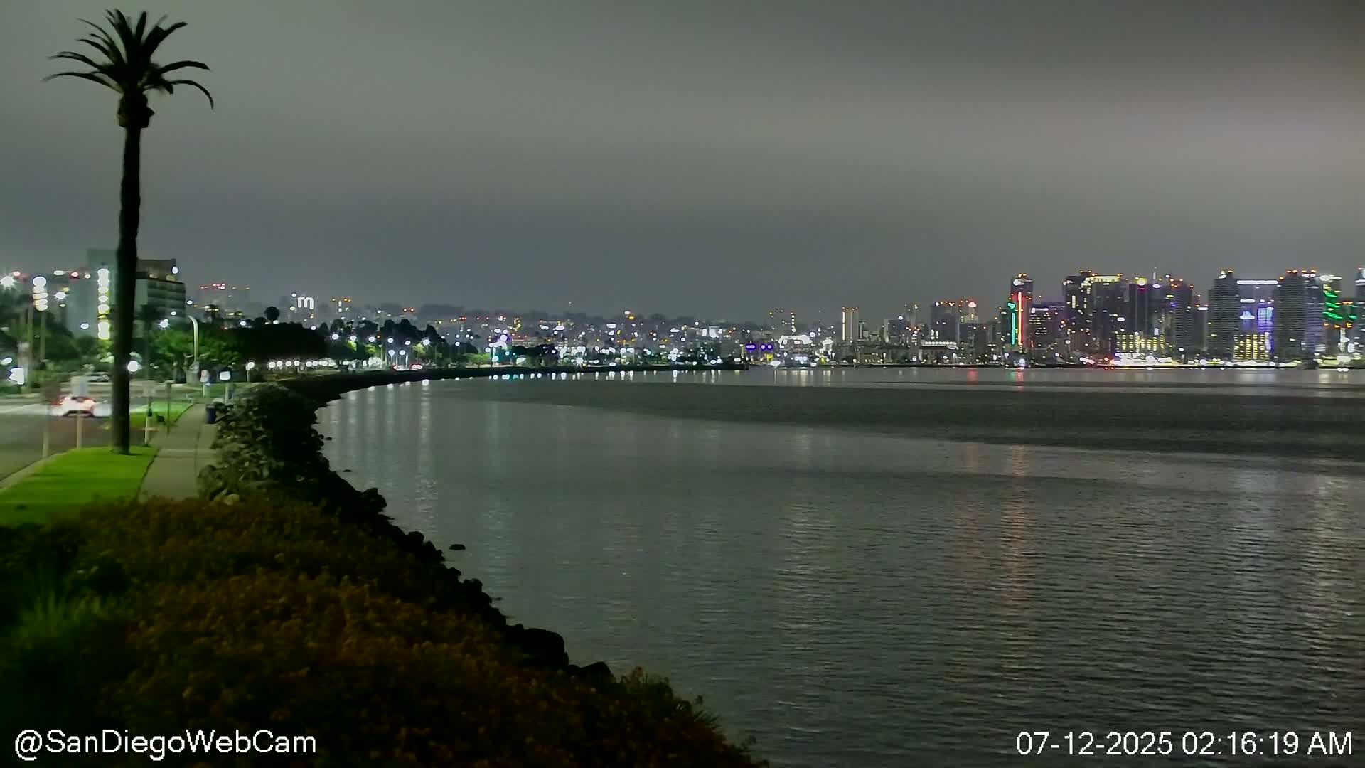 A nighttime view shows a body of water under an overcast sky, with land and vegetation in the foreground and background.