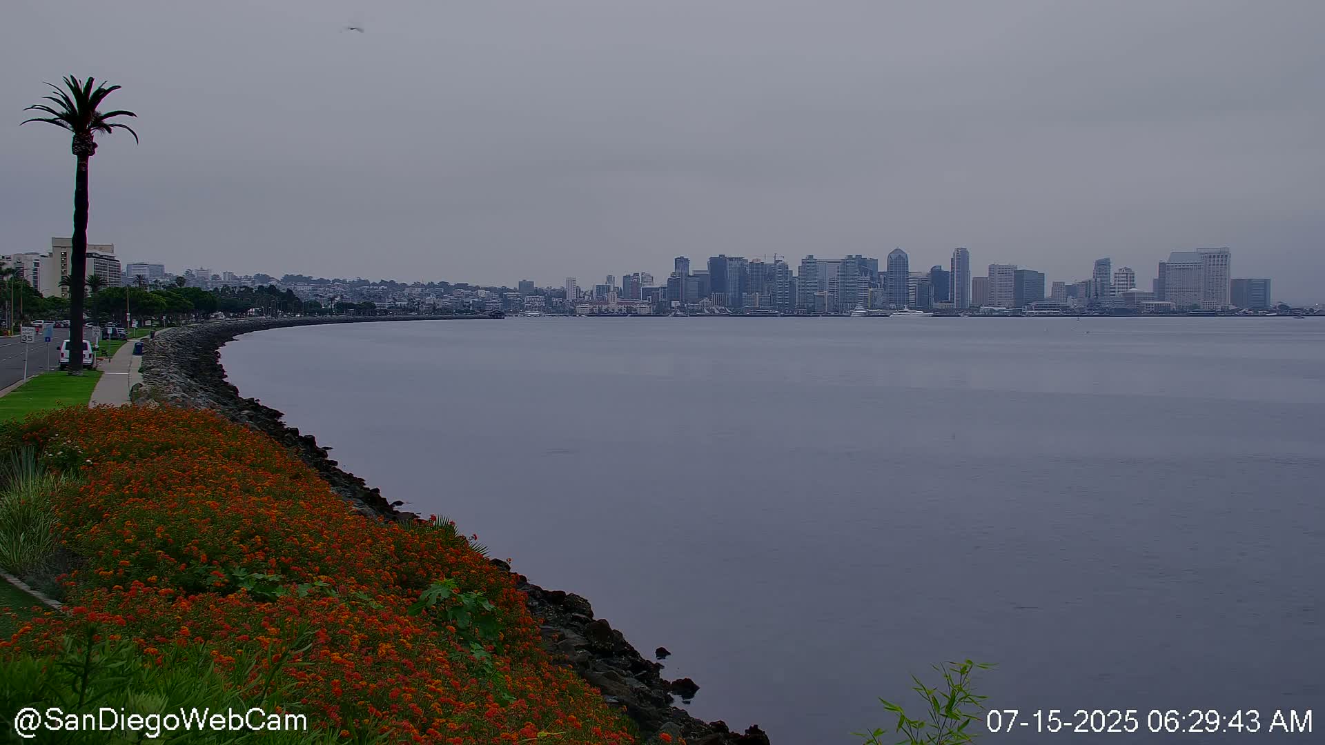 San Diego City Dowtown  from San Diego Bay Panaromic Live Cam -  Harbor Island, San Diego, San Diego County, California, USA