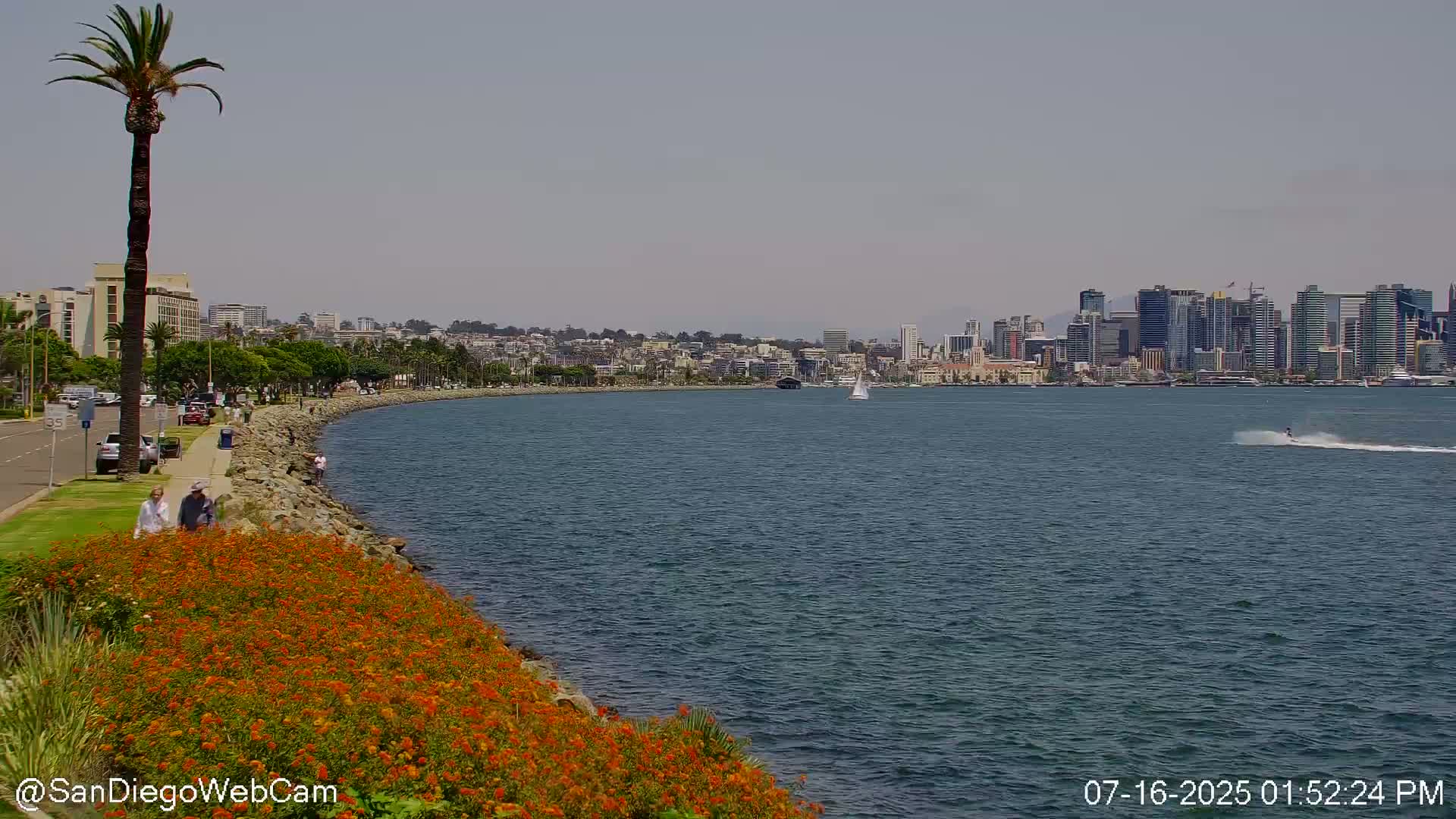 San Diego City Dowtown  from San Diego Bay Panaromic Live Cam -  Harbor Island, San Diego, San Diego County, California, USA