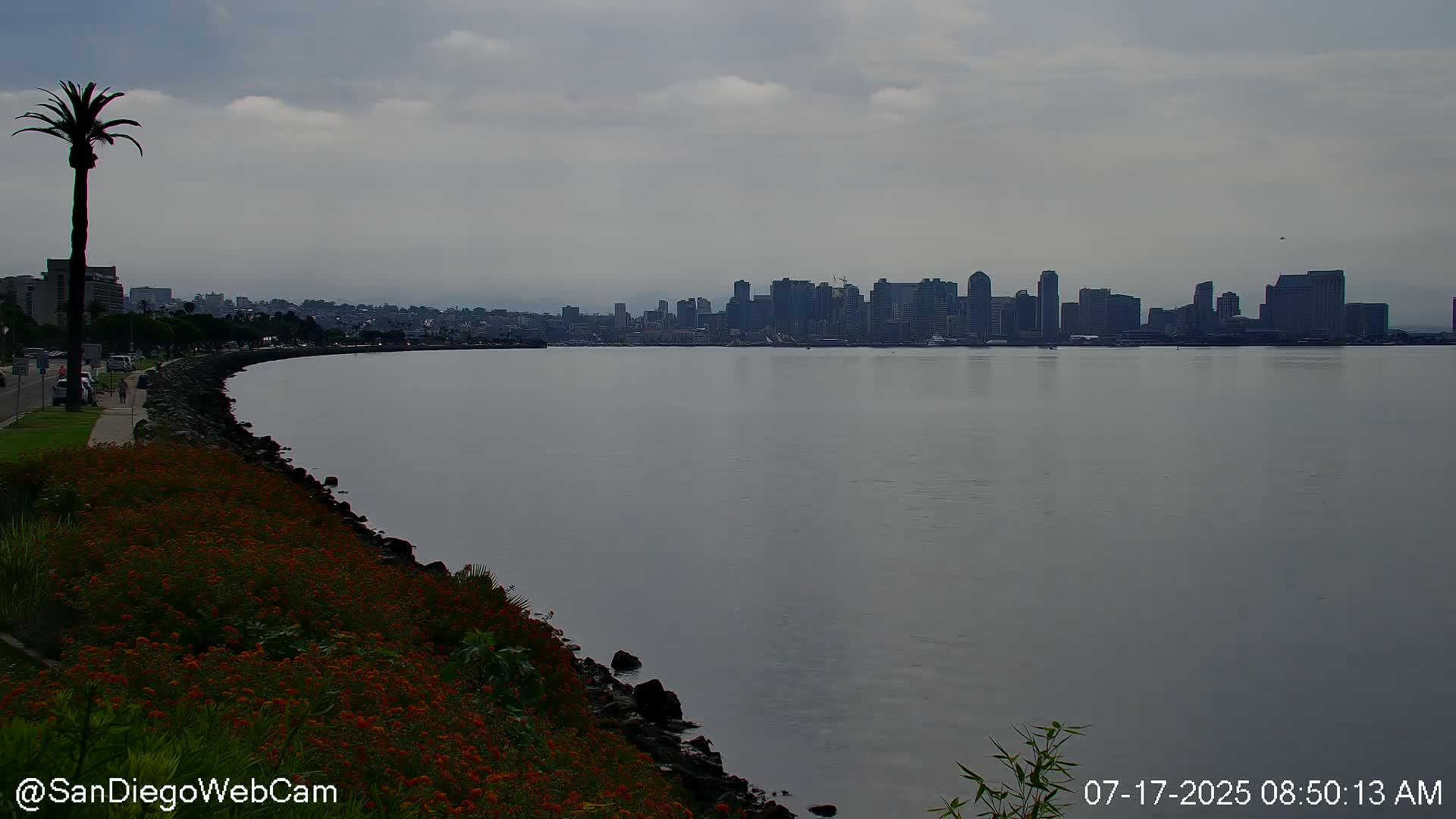 San Diego City Dowtown  from San Diego Bay Panaromic Live Cam -  Harbor Island, San Diego, San Diego County, California, USA