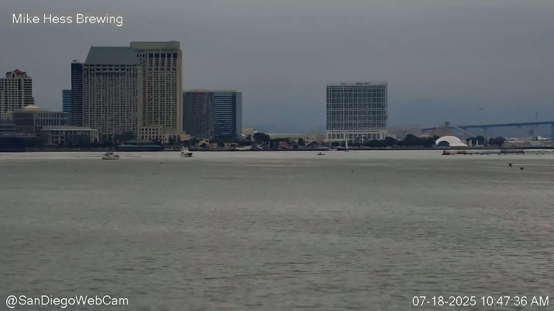 San Diego City Dowtown  from San Diego Bay Panaromic Live Cam -  Harbor Island, San Diego, San Diego County, California, USA