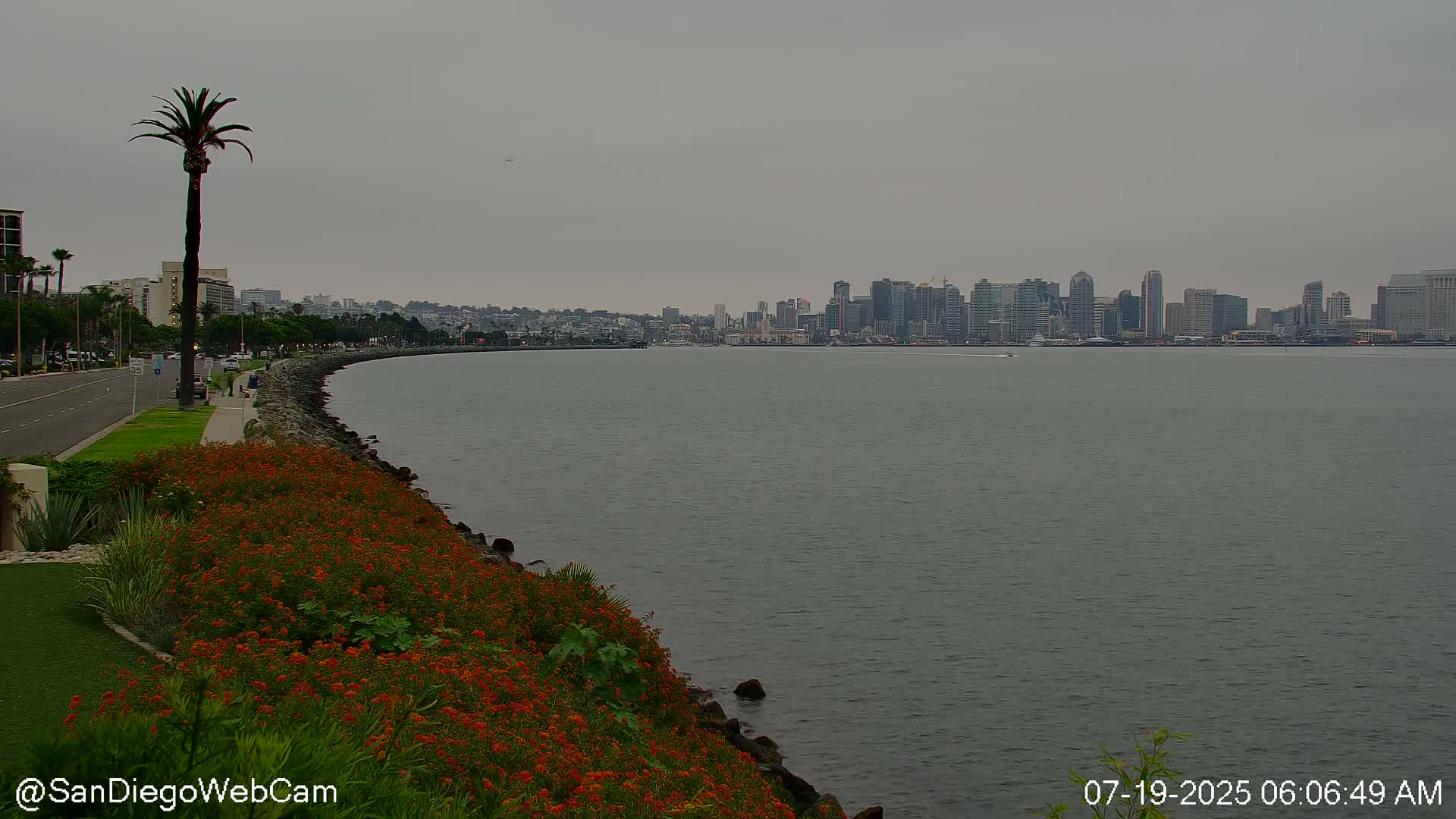 San Diego City Dowtown  from San Diego Bay Panaromic Live Cam -  Harbor Island, San Diego, San Diego County, California, USA