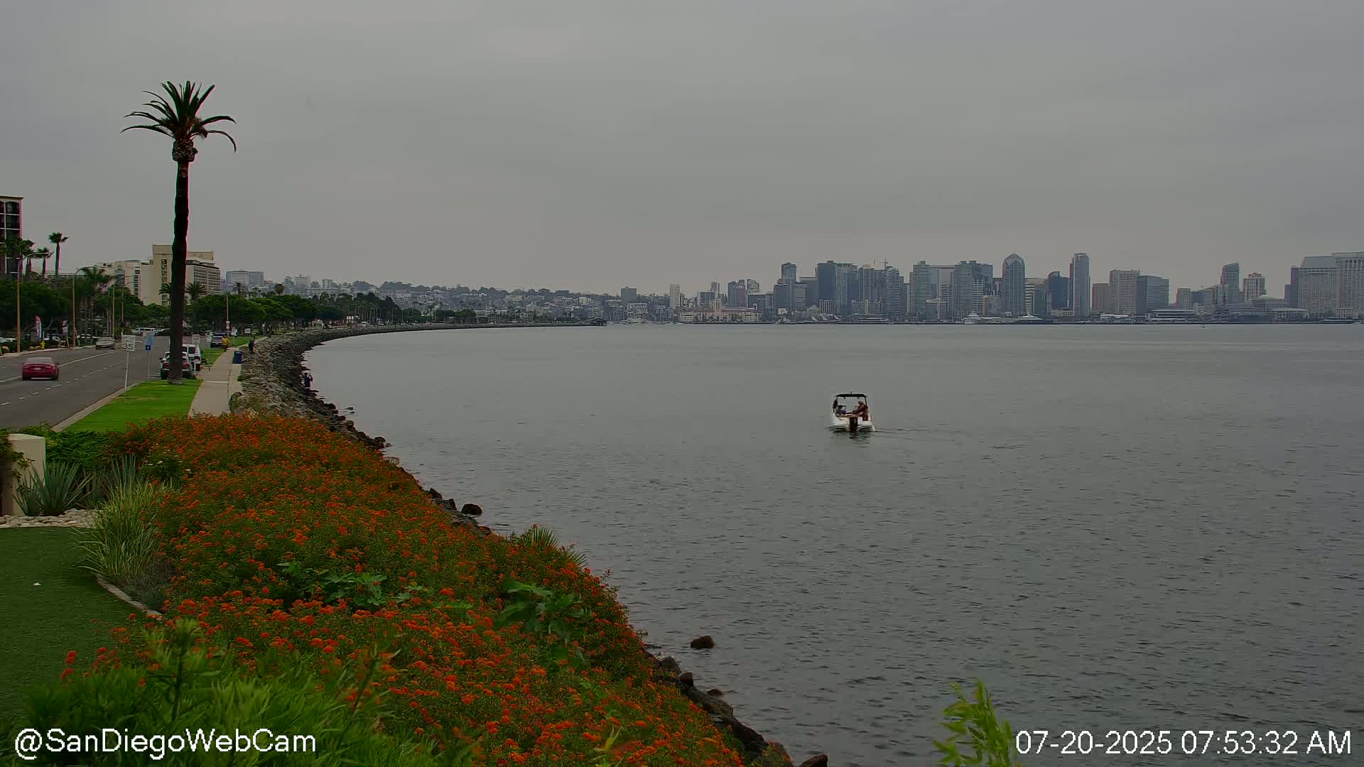 San Diego City Dowtown  from San Diego Bay Panaromic Live Cam -  Harbor Island, San Diego, San Diego County, California, USA