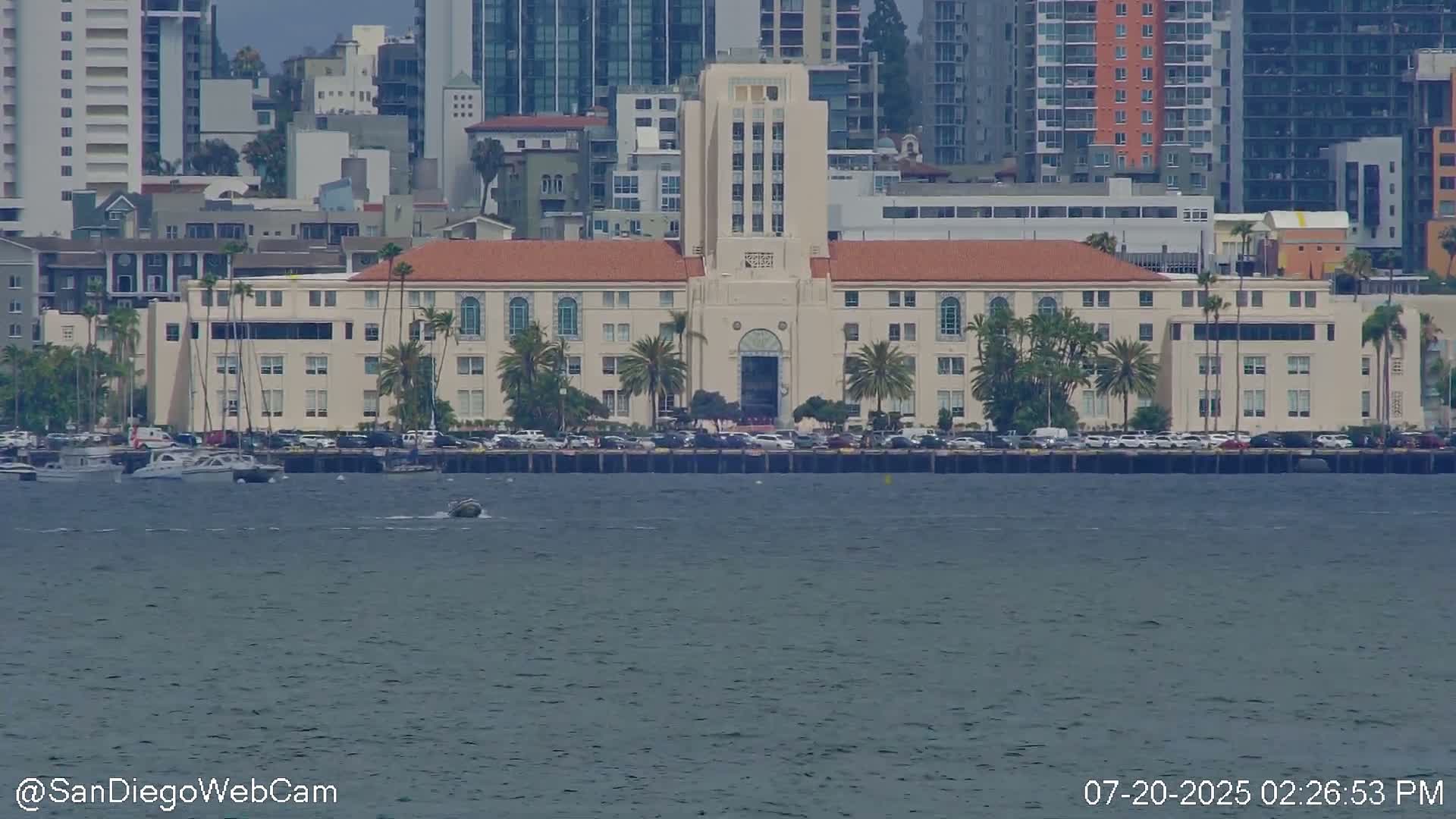 San Diego City Dowtown  from San Diego Bay Panaromic Live Cam -  Harbor Island, San Diego, San Diego County, California, USA