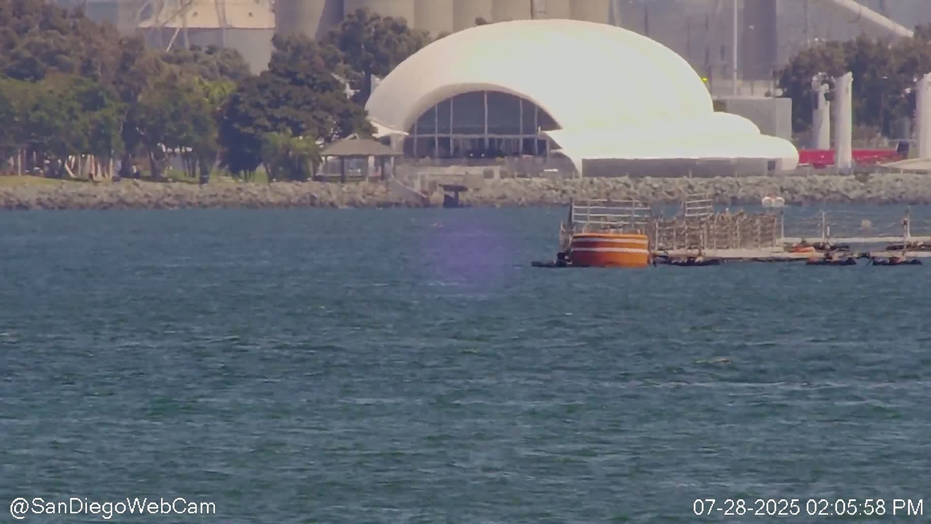 San Diego City Dowtown  from San Diego Bay Panaromic Live Cam -  Harbor Island, San Diego, San Diego County, California, USA