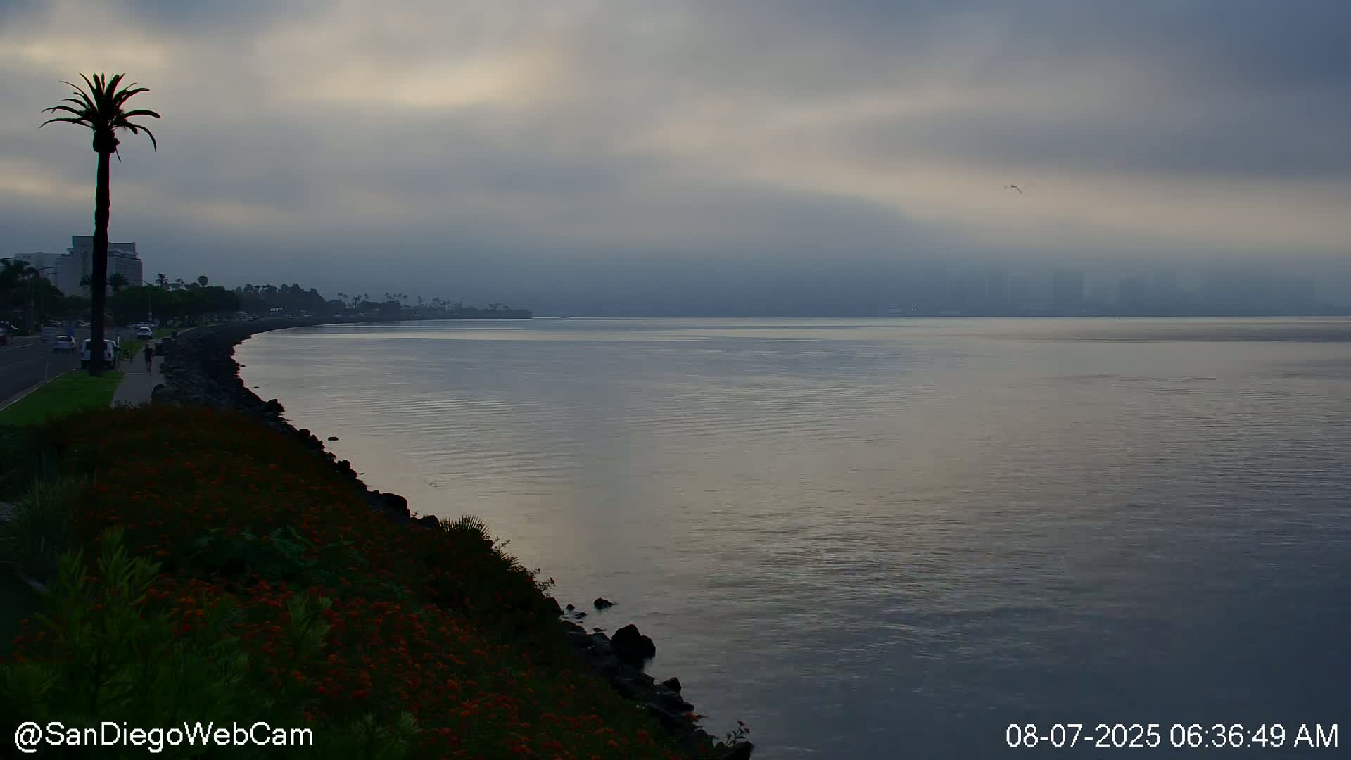 San Diego City Dowtown  from San Diego Bay Panaromic Live Cam -  Harbor Island, San Diego, San Diego County, California, USA