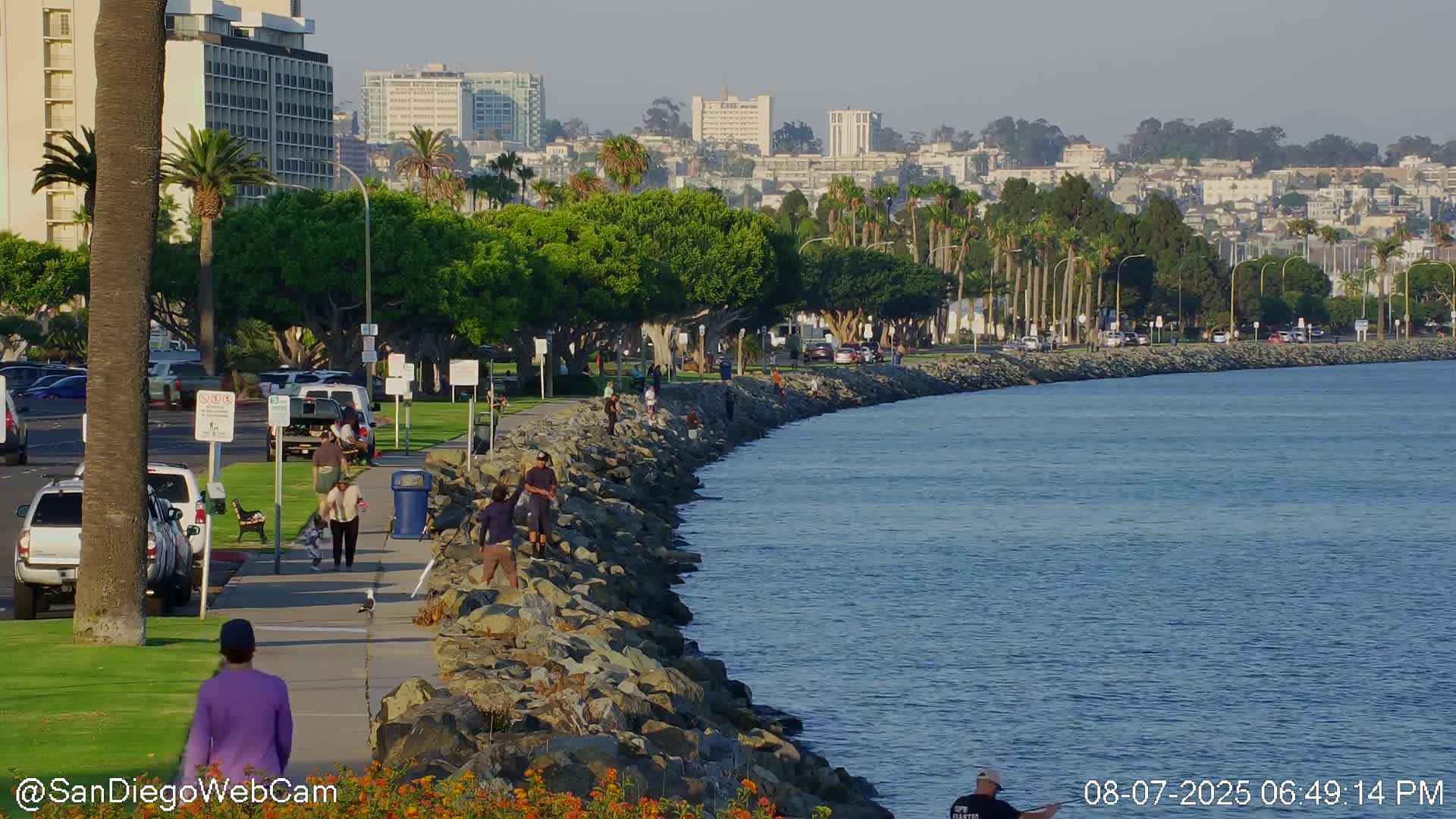 San Diego City Dowtown  from San Diego Bay Panaromic Live Cam -  Harbor Island, San Diego, San Diego County, California, USA