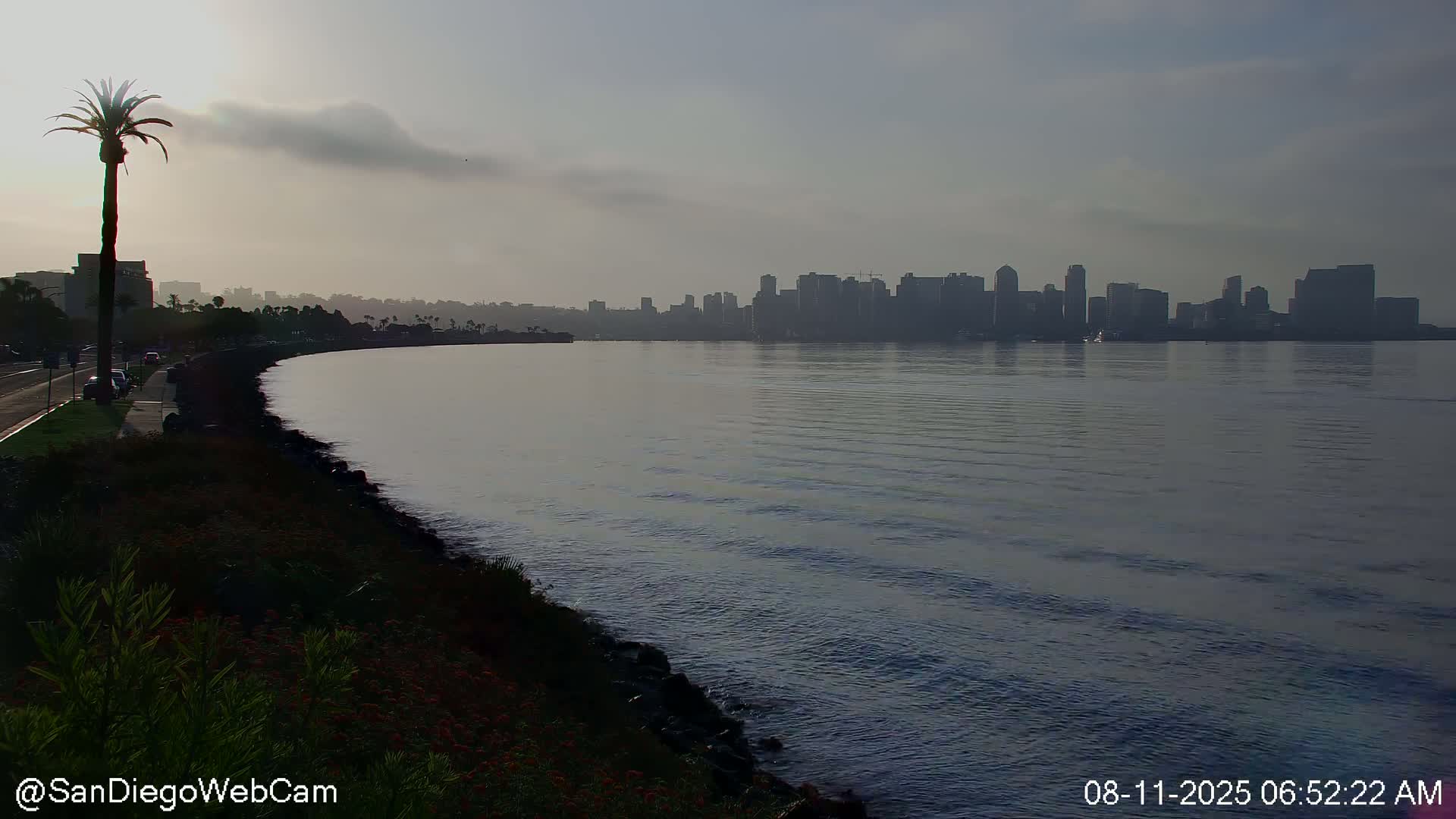 San Diego City Dowtown  from San Diego Bay Panaromic Live Cam -  Harbor Island, San Diego, San Diego County, California, USA