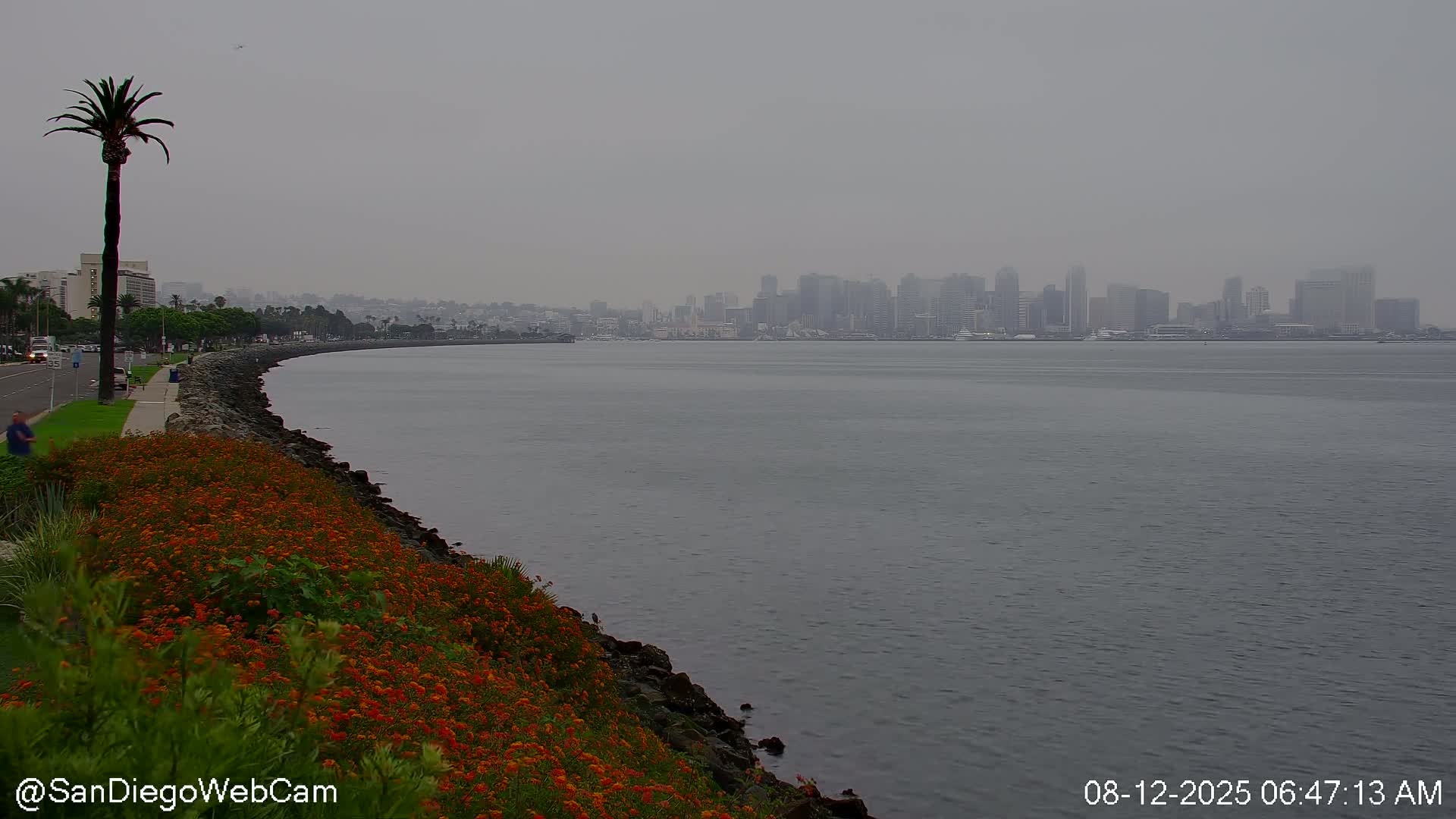 San Diego City Dowtown  from San Diego Bay Panaromic Live Cam -  Harbor Island, San Diego, San Diego County, California, USA
