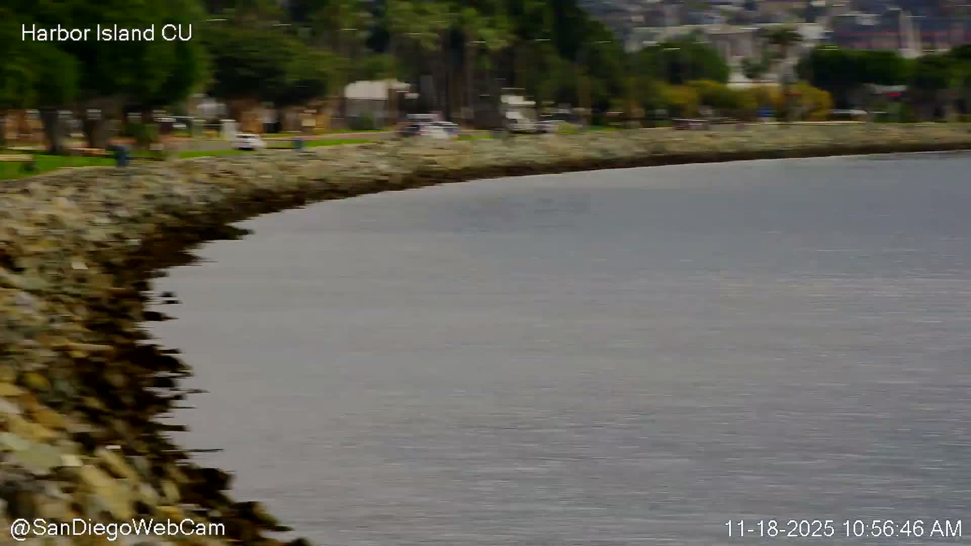 San Diego City Dowtown  from San Diego Bay Panaromic Live Cam -  Harbor Island, San Diego, San Diego County, California, USA