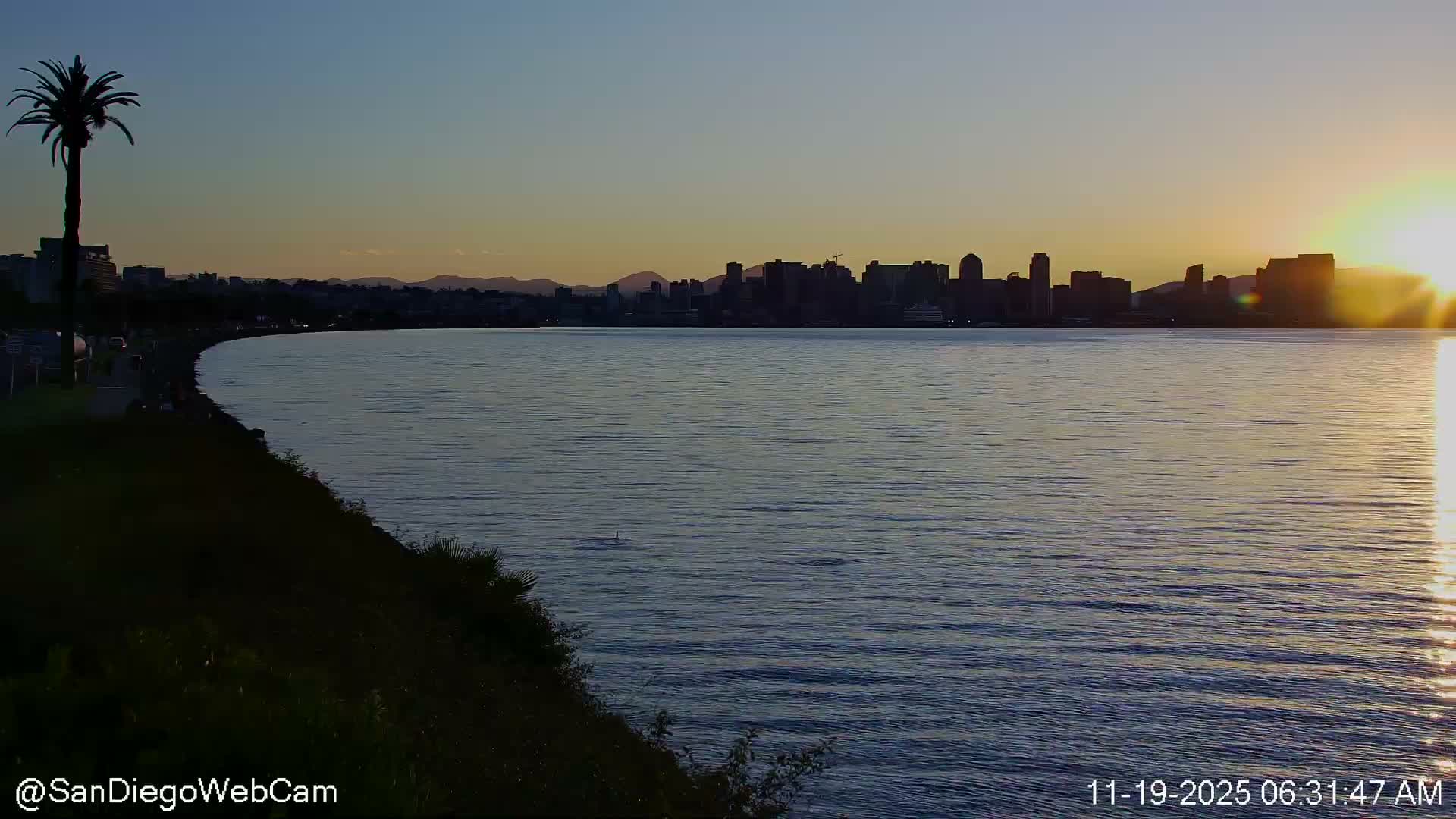 San Diego City Dowtown  from San Diego Bay Panaromic Live Cam -  Harbor Island, San Diego, San Diego County, California, USA